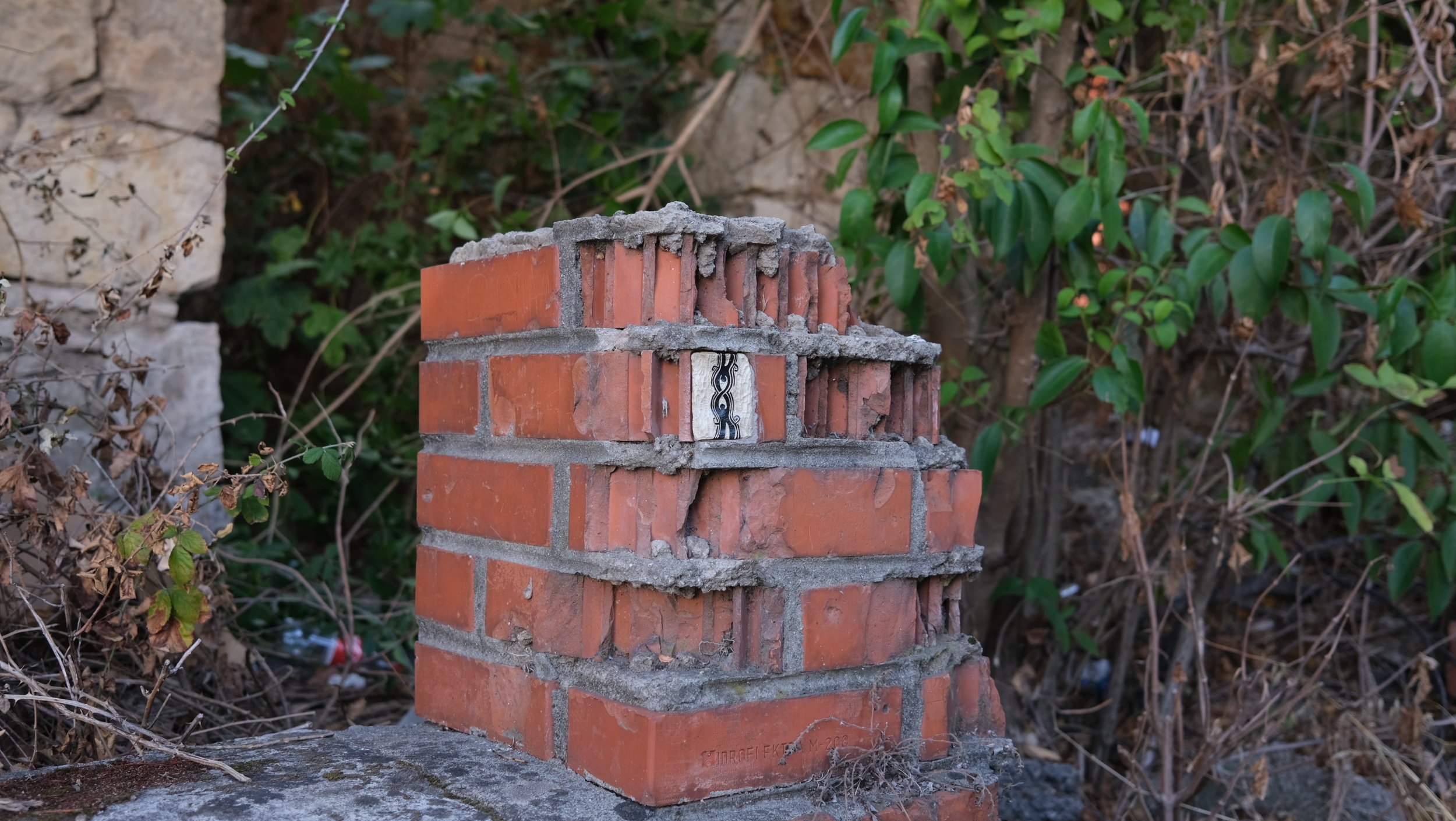 DSCF2130.JPG