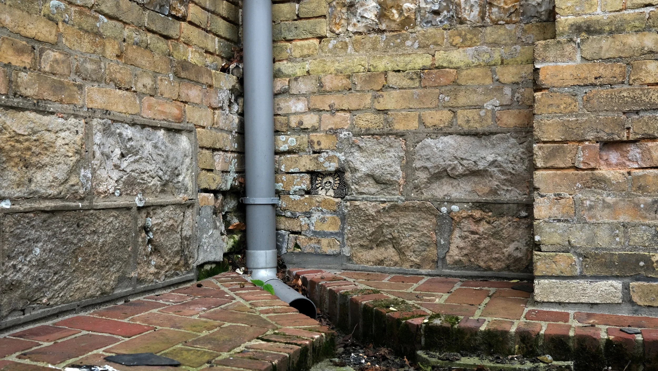 DSCF1398.jpg