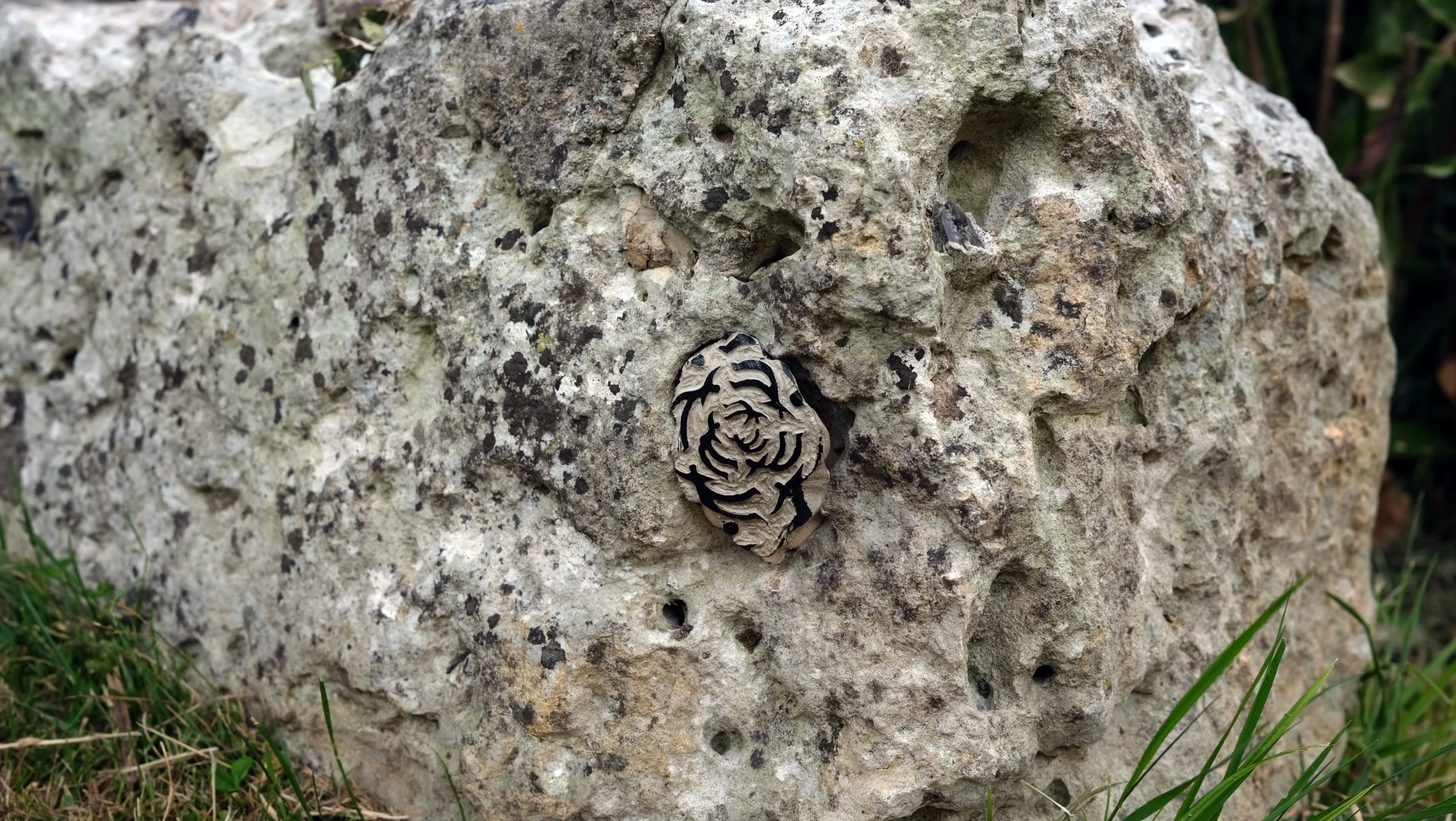 DSCF1468.jpg