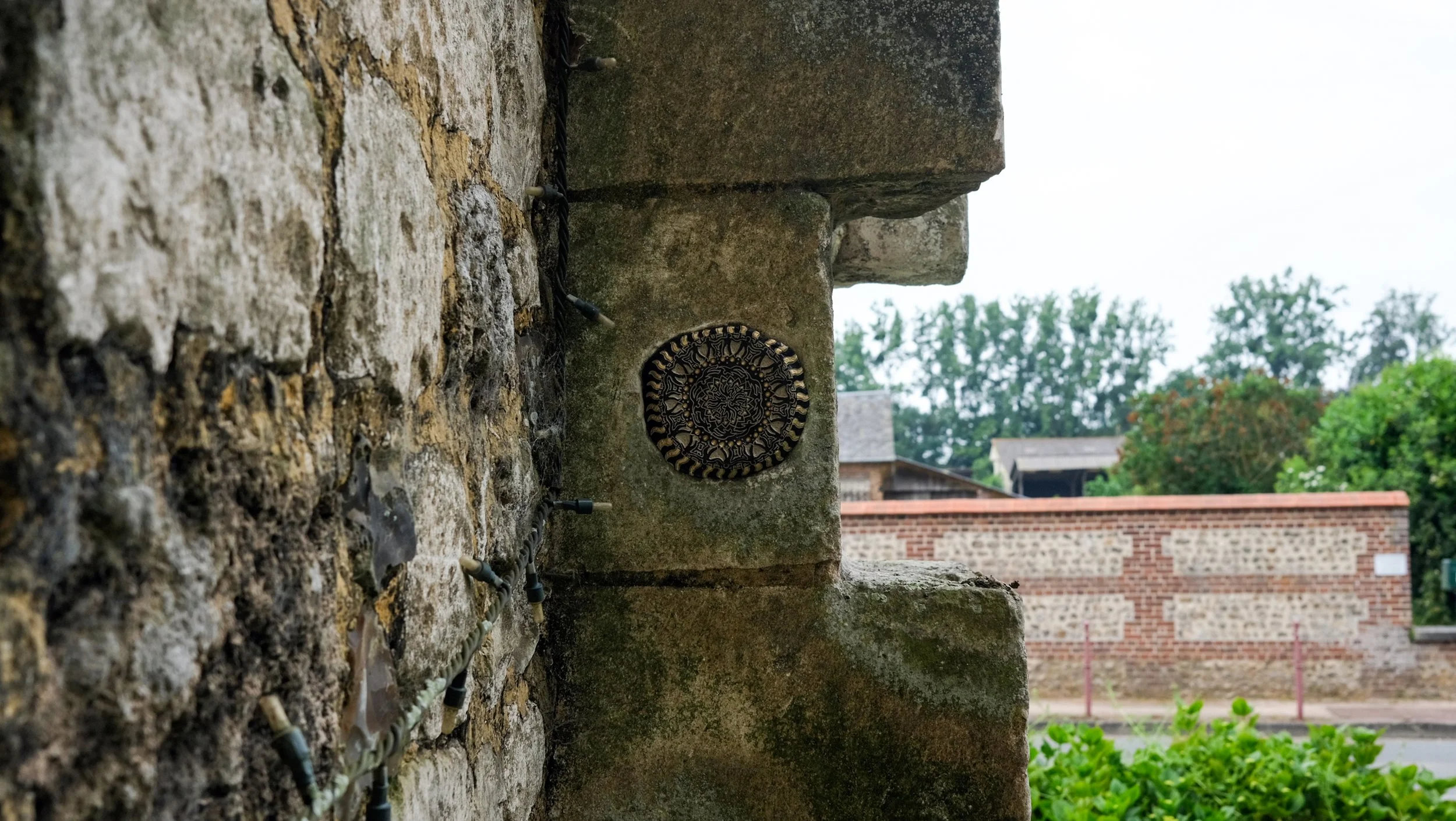 DSCF1433.jpg