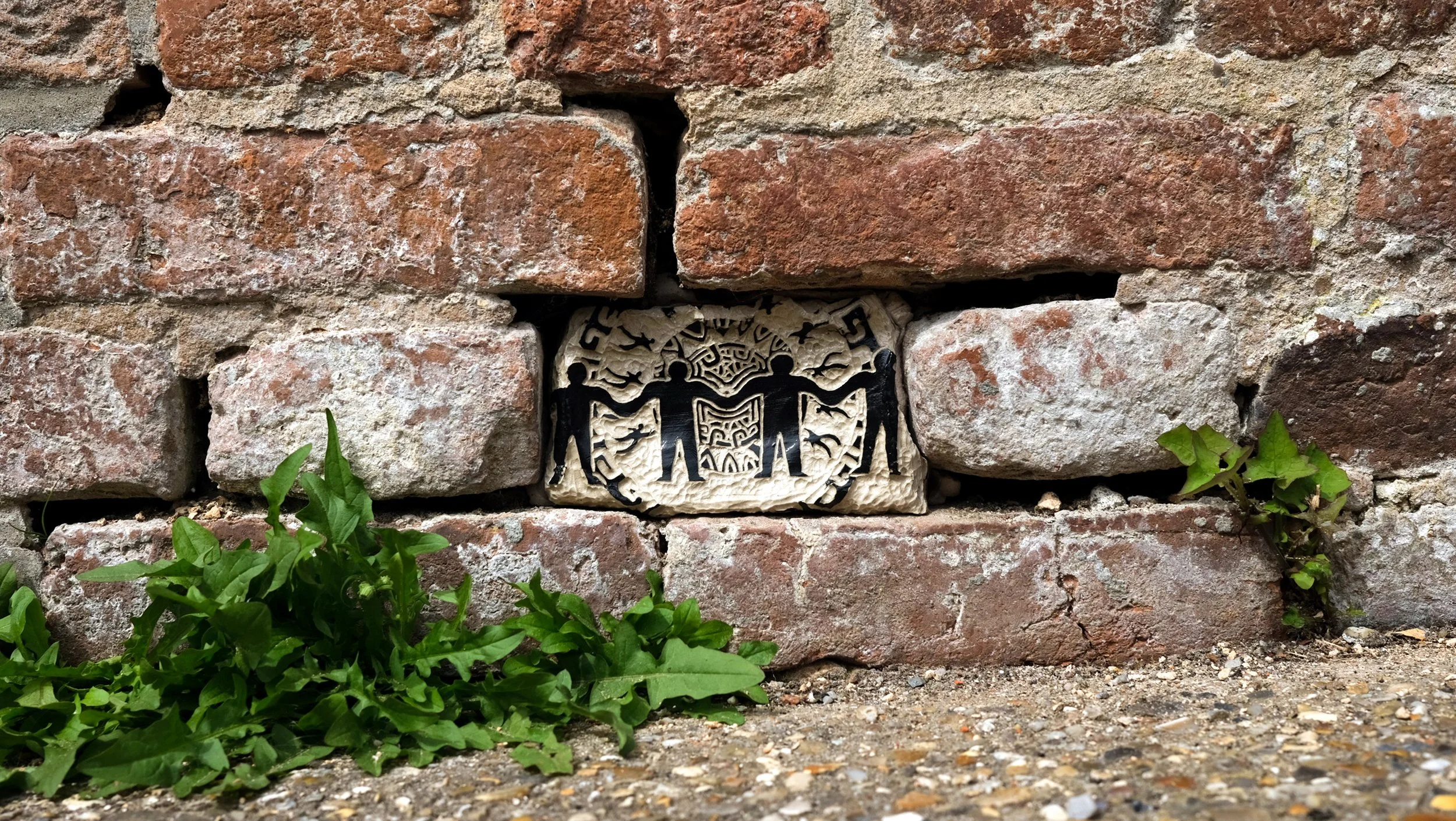 DSCF1387.jpg