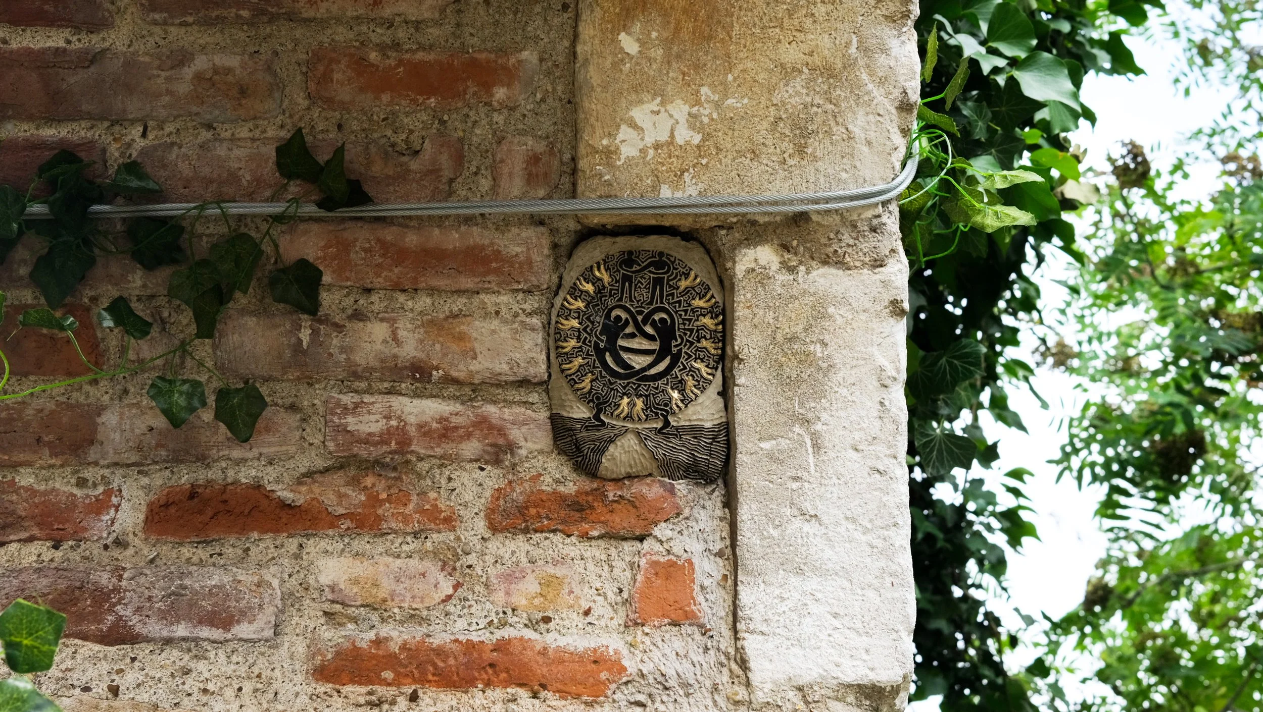 DSCF1427.jpg