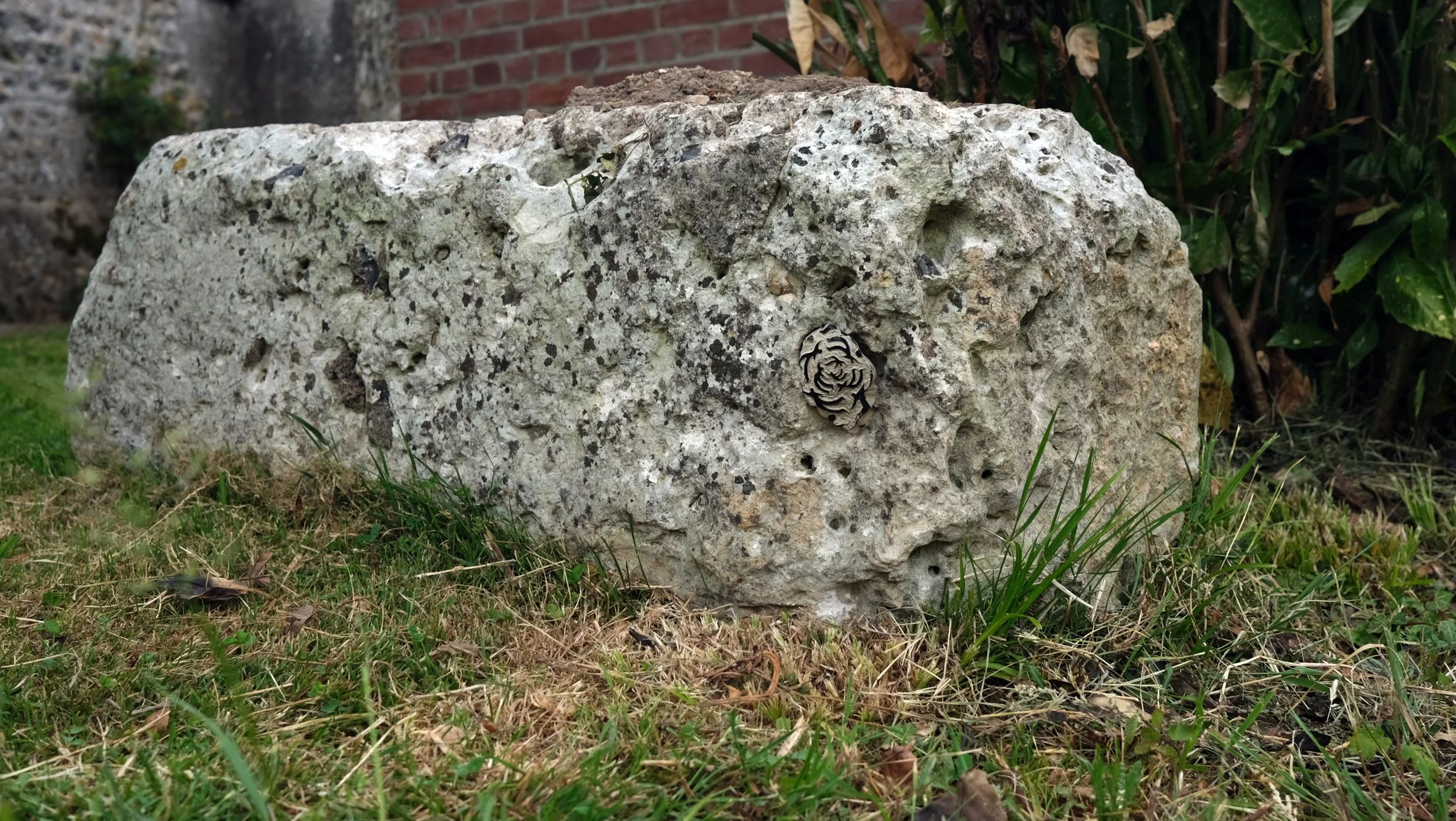 DSCF1470.jpg