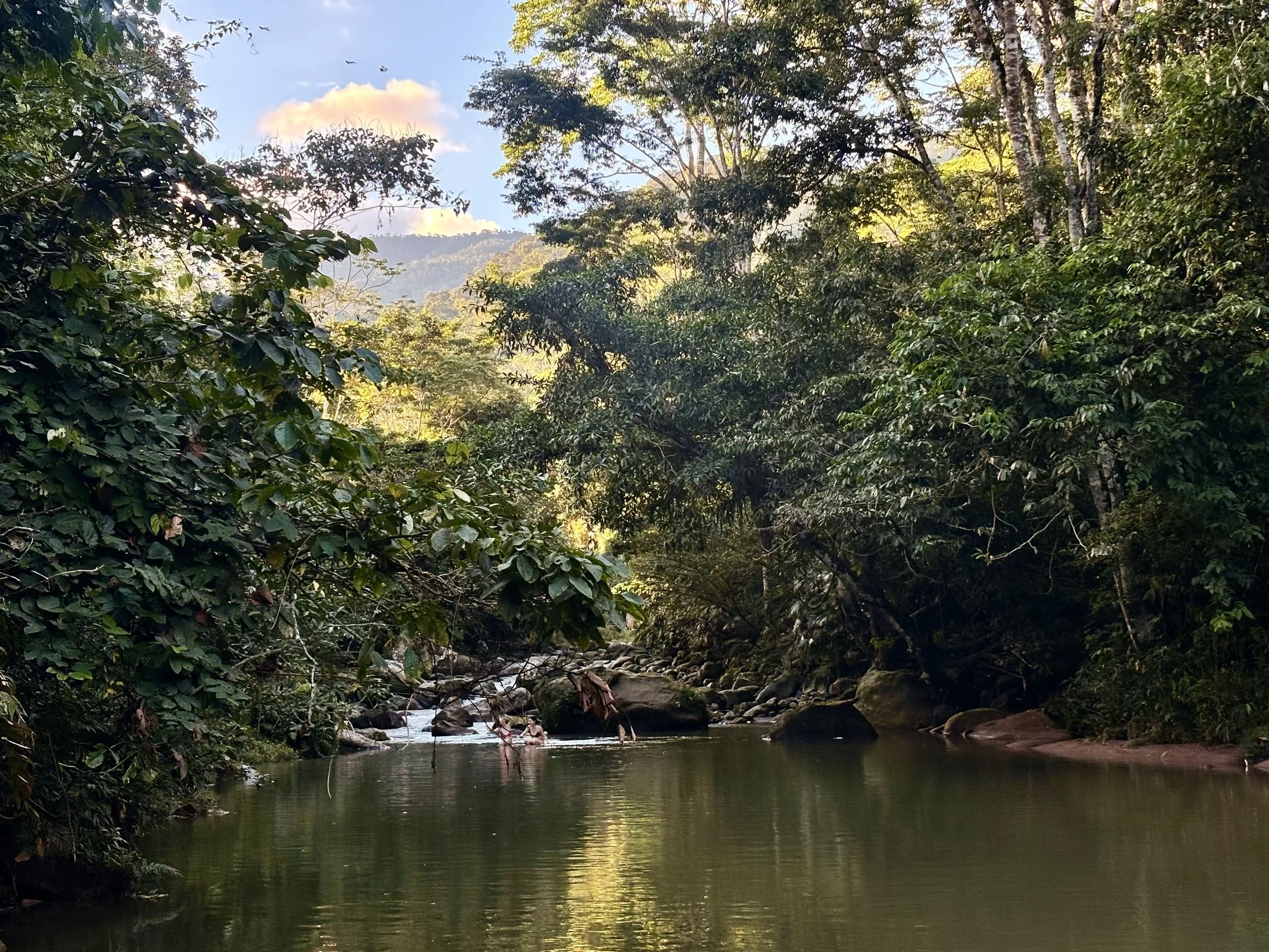Sustainability As A Daily Practice, Not A Project