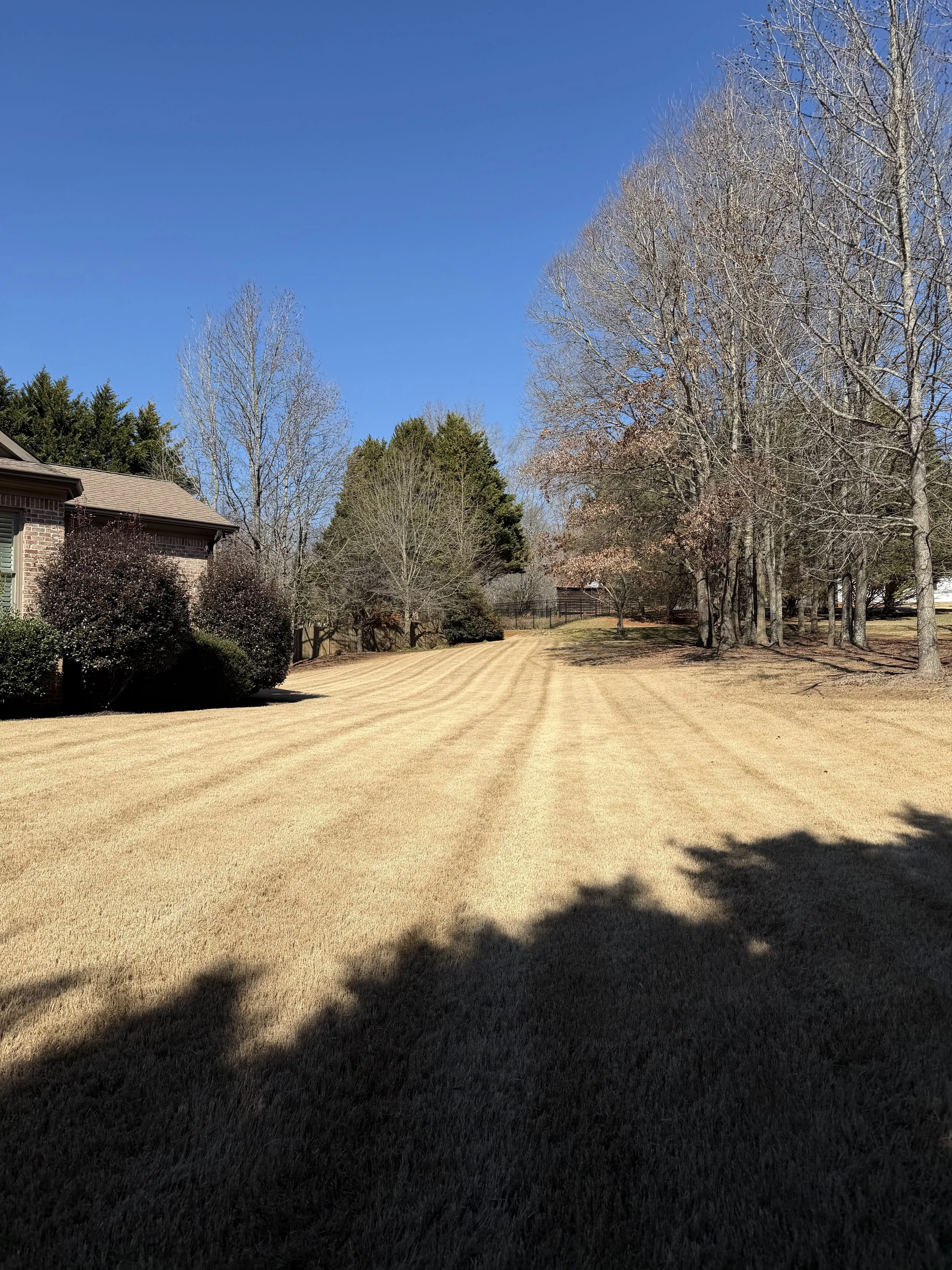 Is Your Lawn Ready for Spring? What North Georgia Homeowners Should Do in March