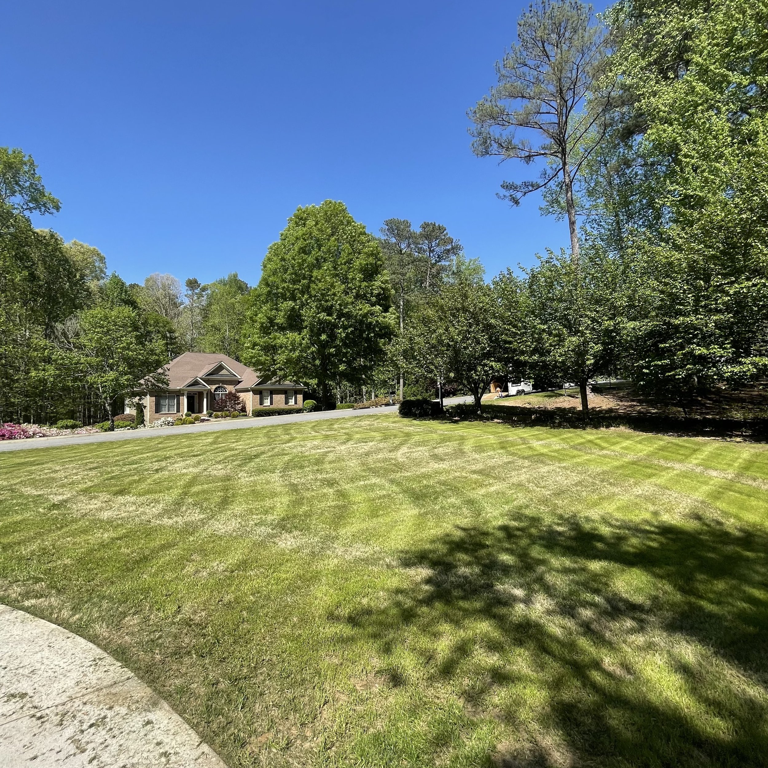 Residential Lawn Maintenance