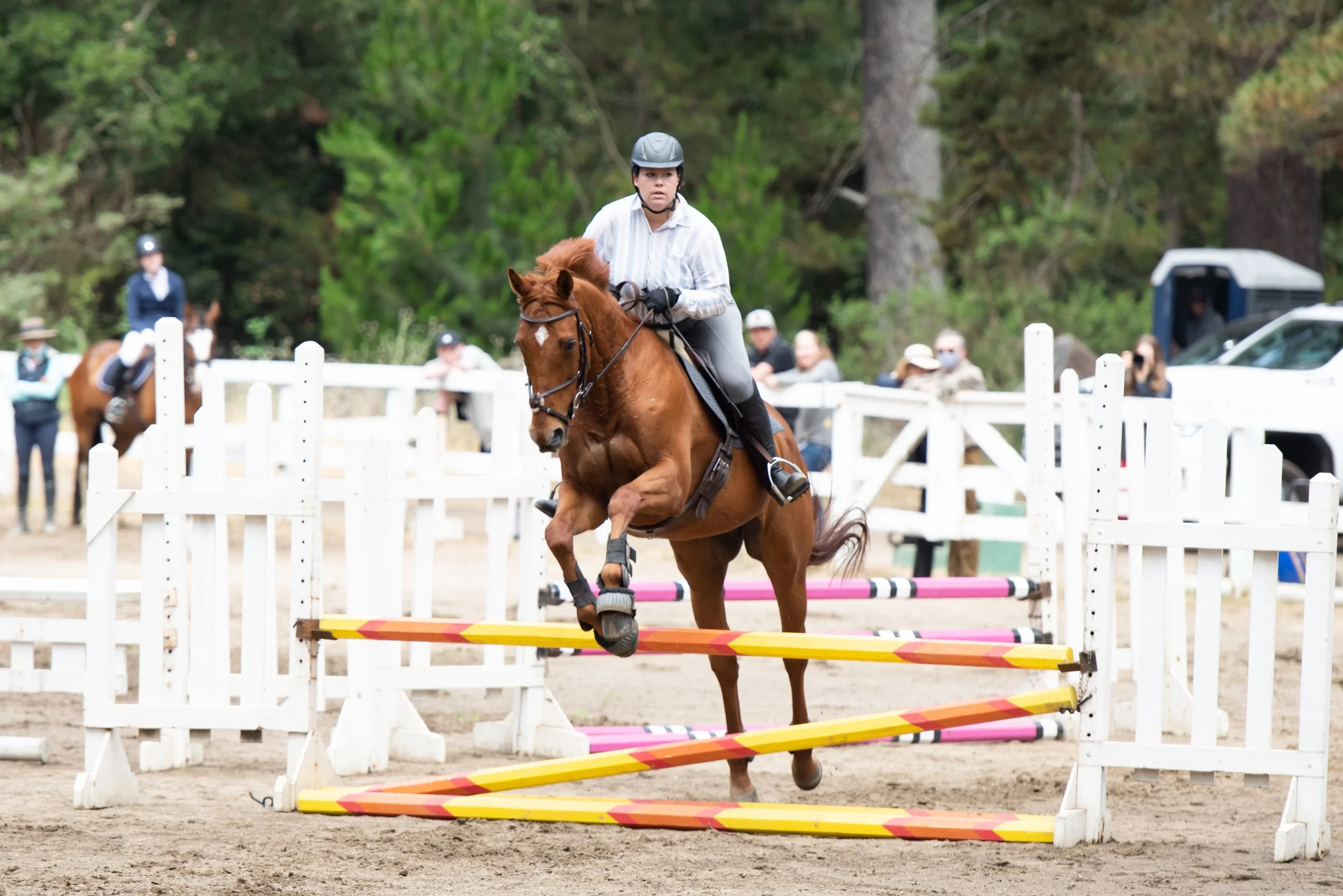 MHA Spring Hunter/Jumper Show