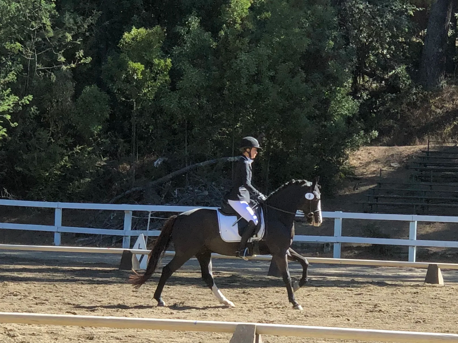 MHA Spring Dressage Show