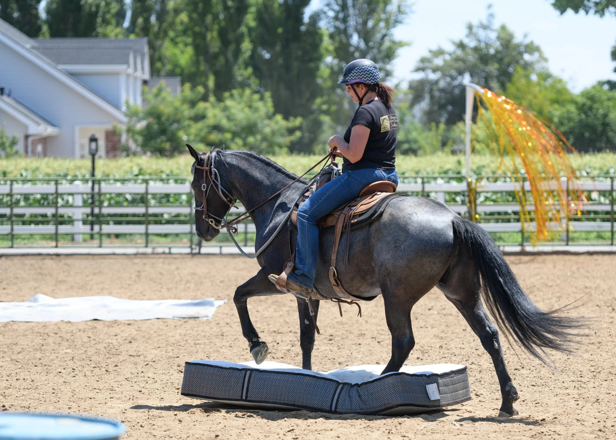Sensory &amp; Trail Clinic w/ Susan Dockter