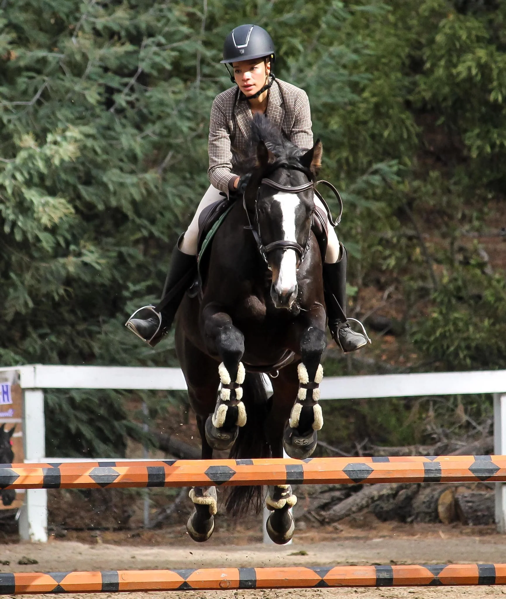 MHA Fall Hunter/Jumper Show 
