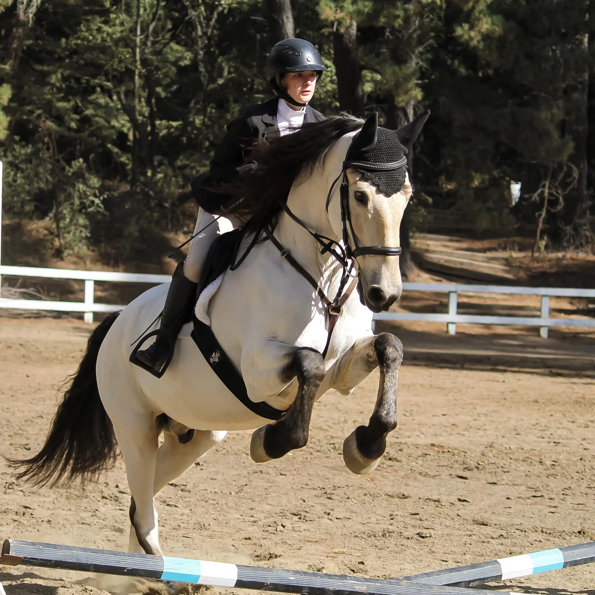 MHA Spring Hunter/Jumper Show