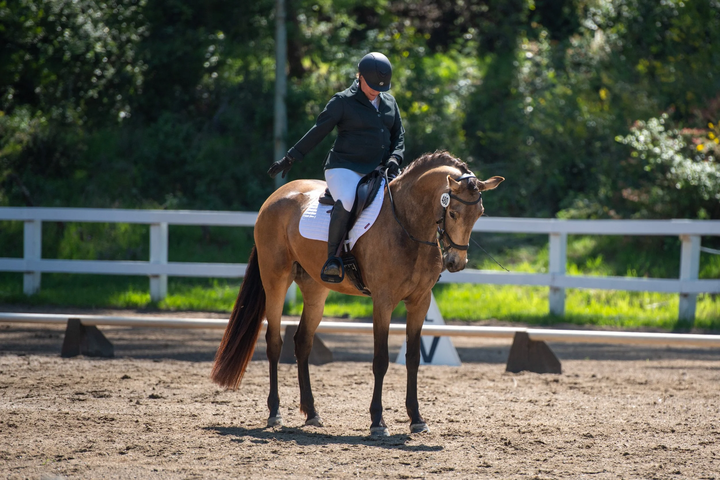 MHA Spring Dressage Show