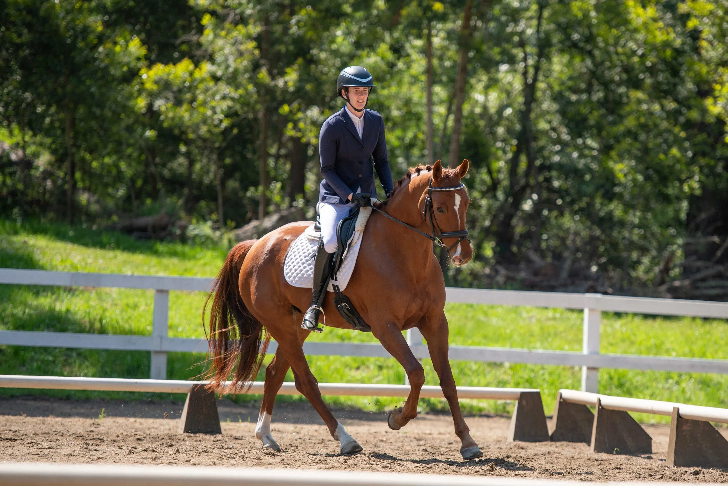 MHA Summer Dressage Show