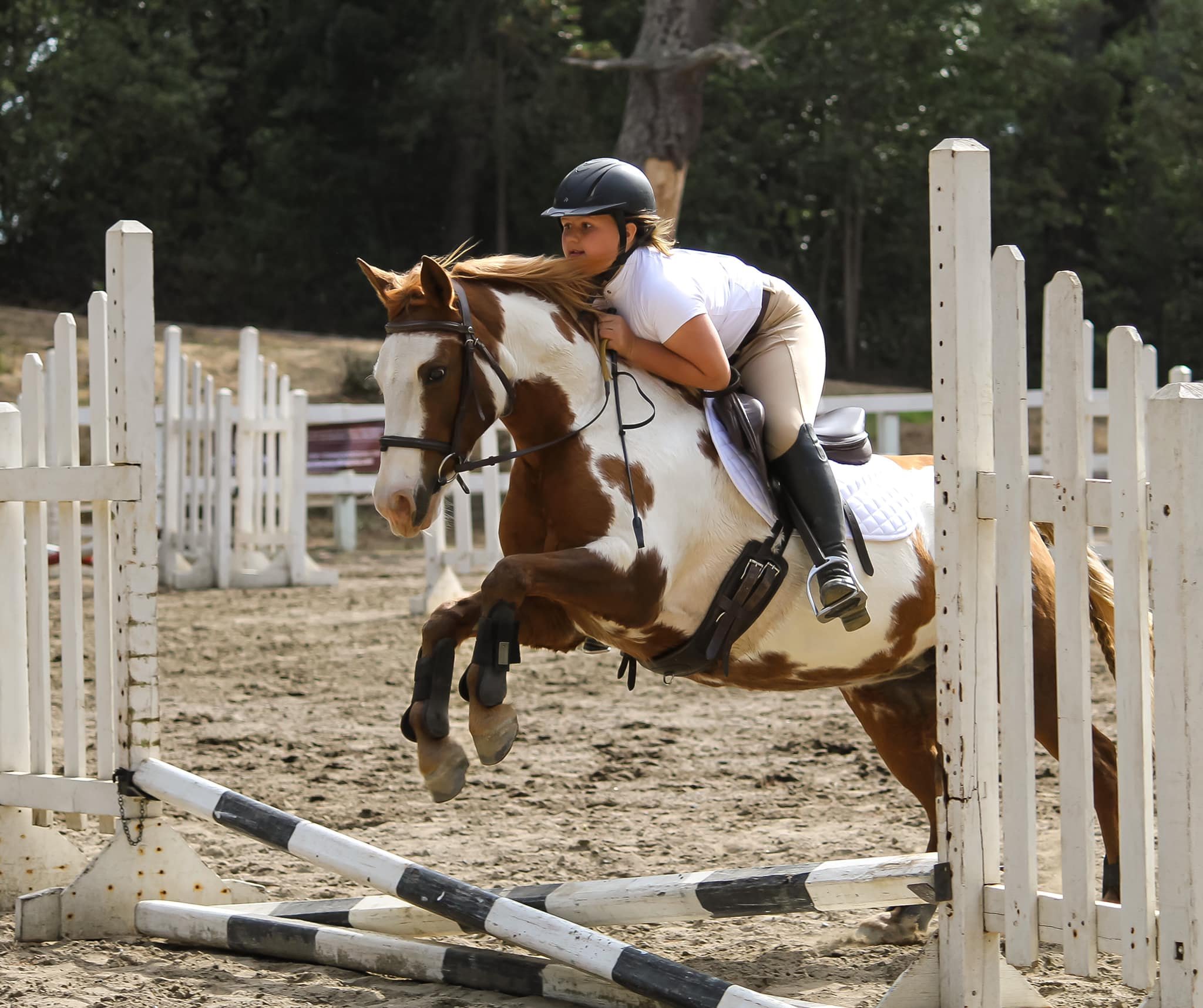 MHA Summer Hunter/Jumper Show