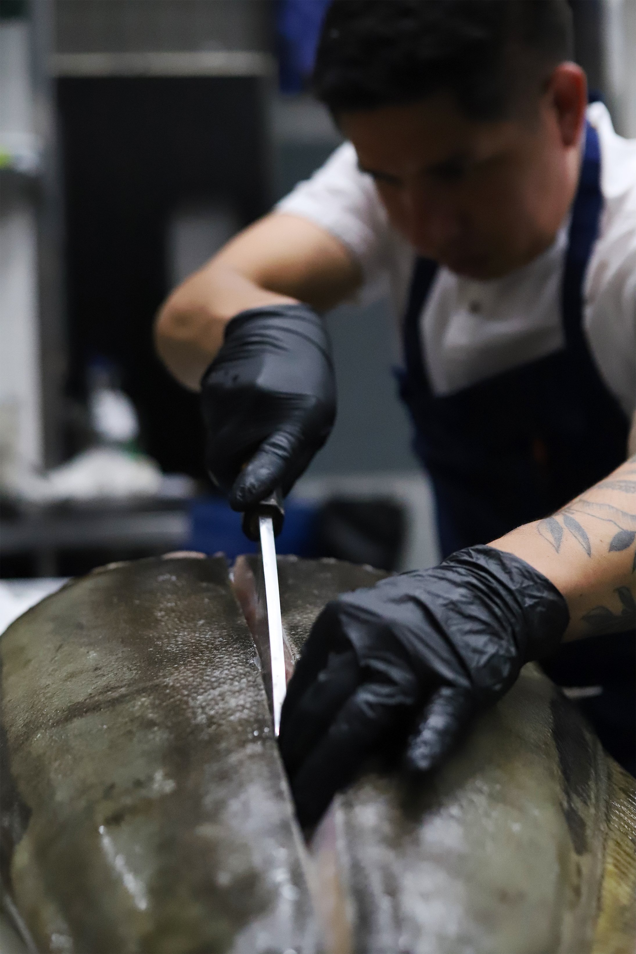 Halibut vs Chef Jose.jpg