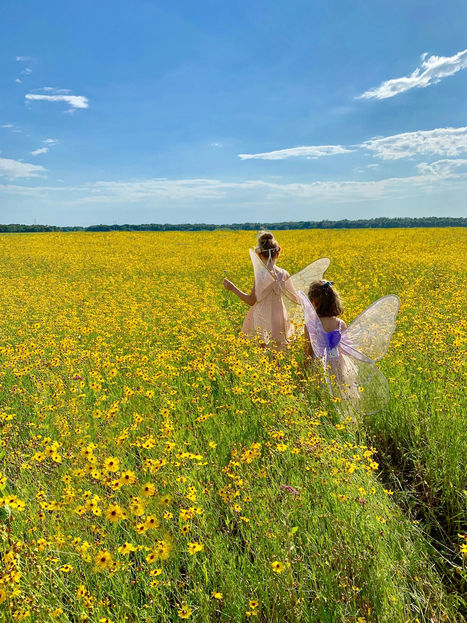 Tooth Fairy Traditions Around the World (and How to Make Yours Extra Magical!)