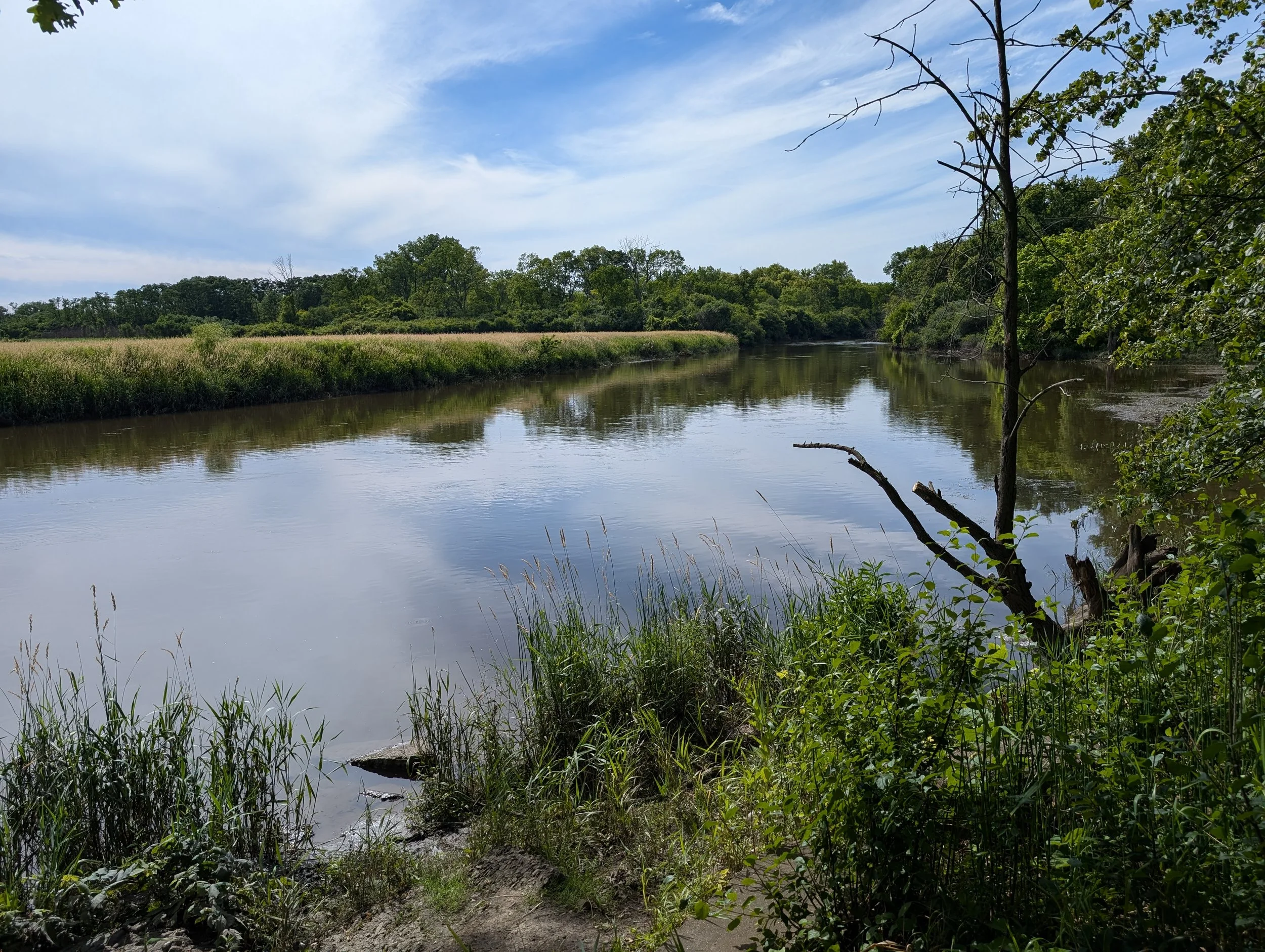 river trails 6.jpg