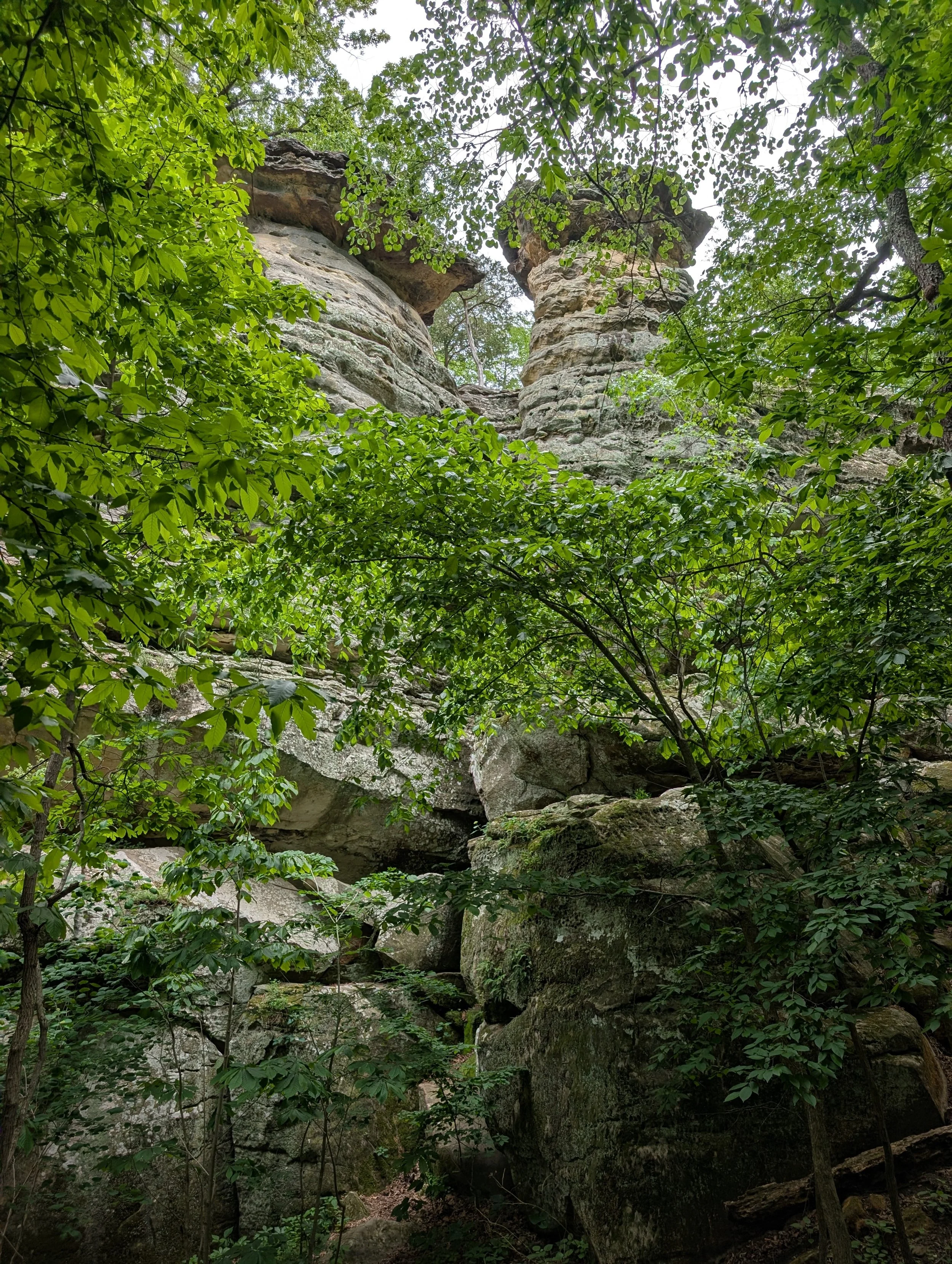 PXL_20260515_171556321.jpg