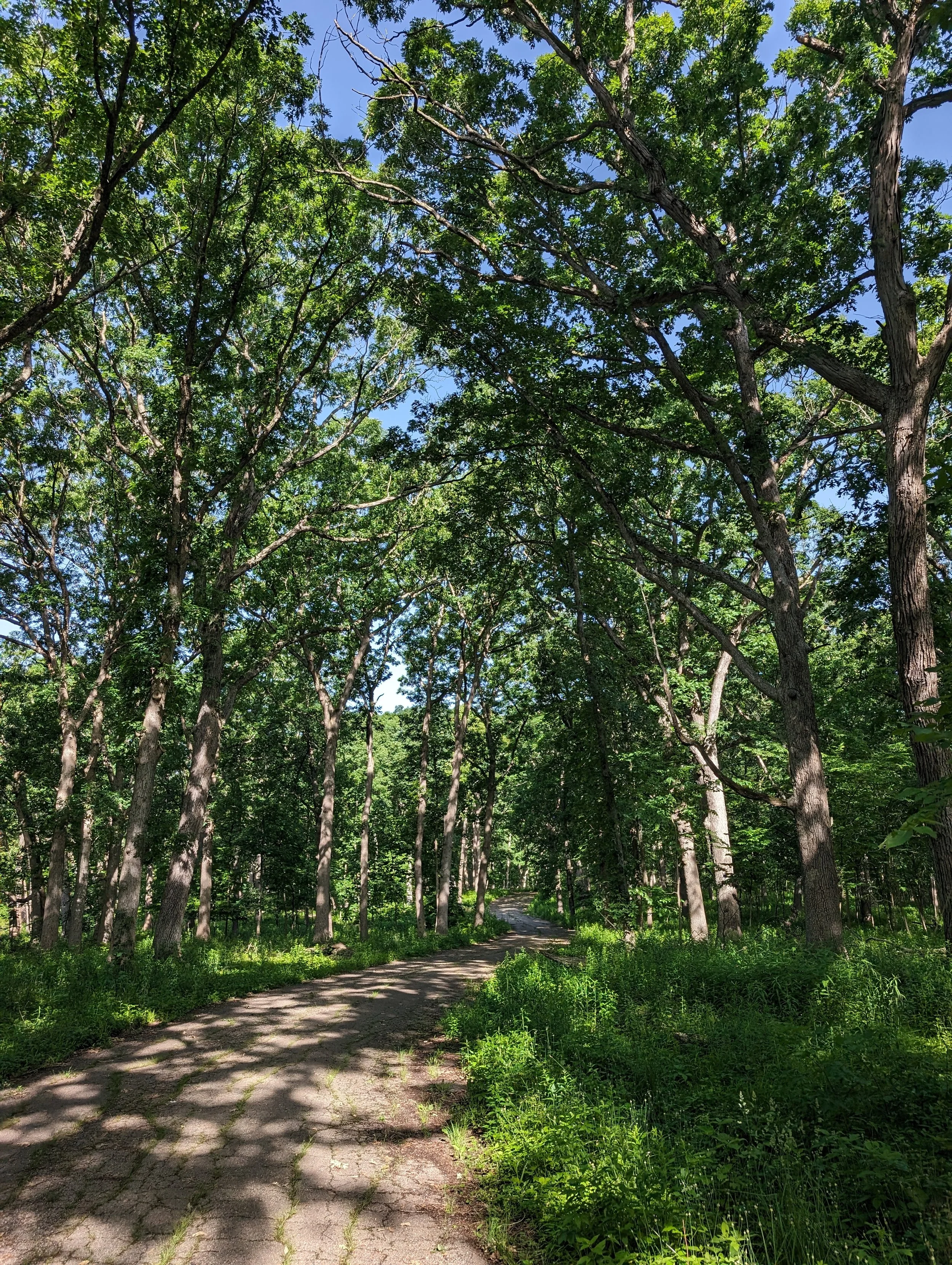PXL_20240606_134532857.jpg