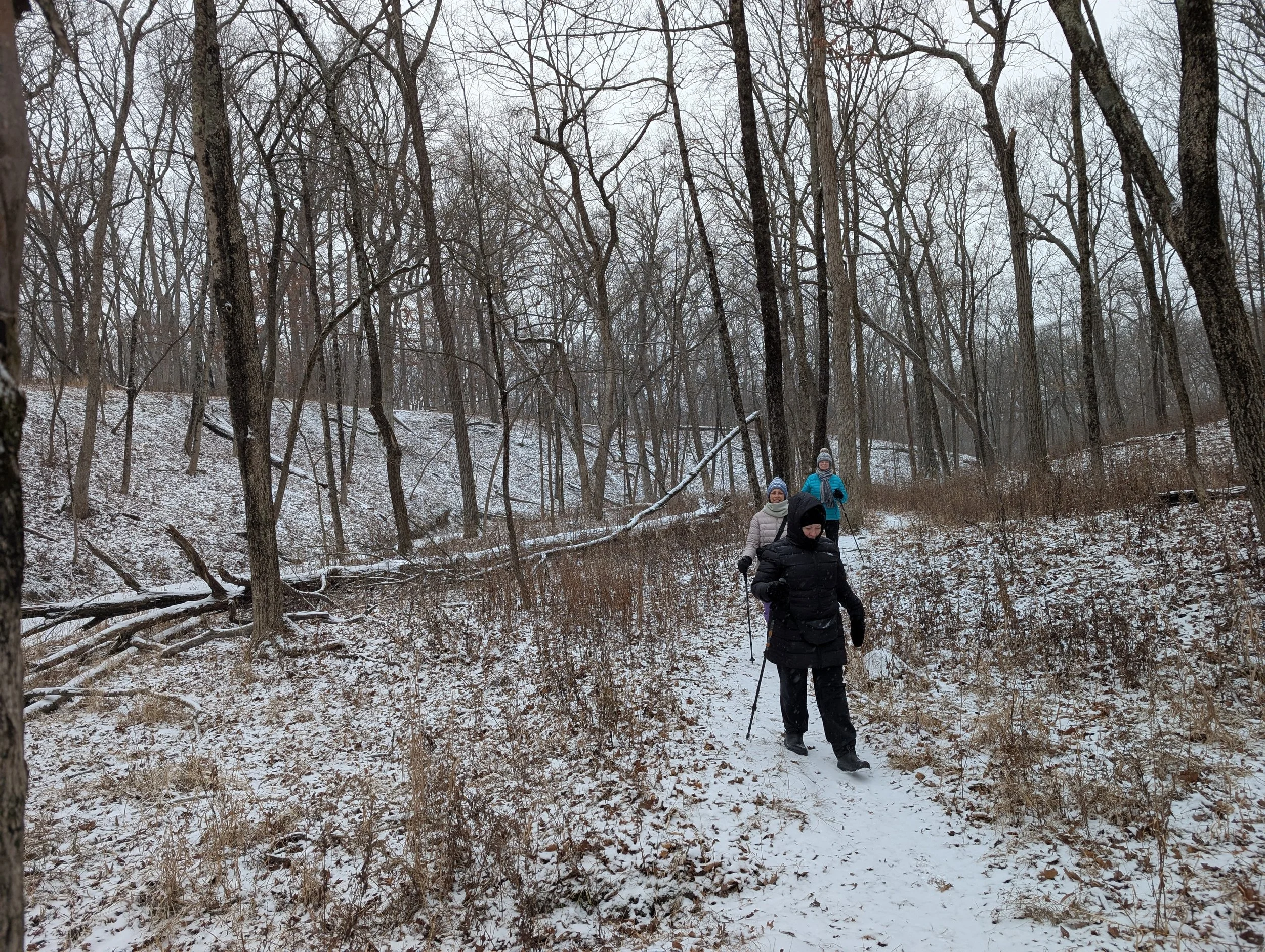 Three people dressed in winter gear walking on a snow-covered trail through a leafless forest.