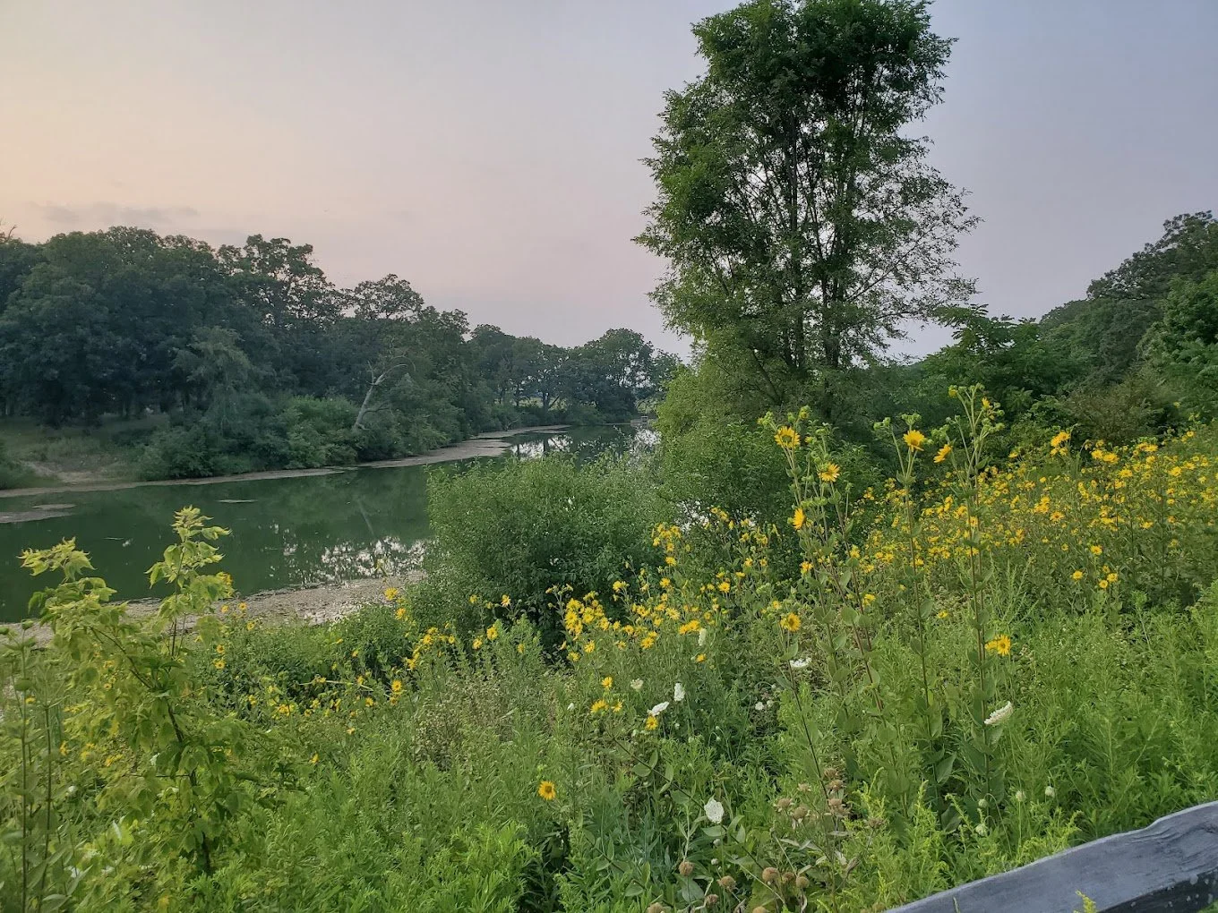 lakewood preserve 2.jpg
