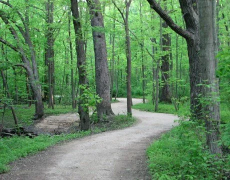 CAPTAIN DANIEL WRIGHT WOODS, METTAWA, IL >>>>> MAY 5, 6, 7, 9, 2026