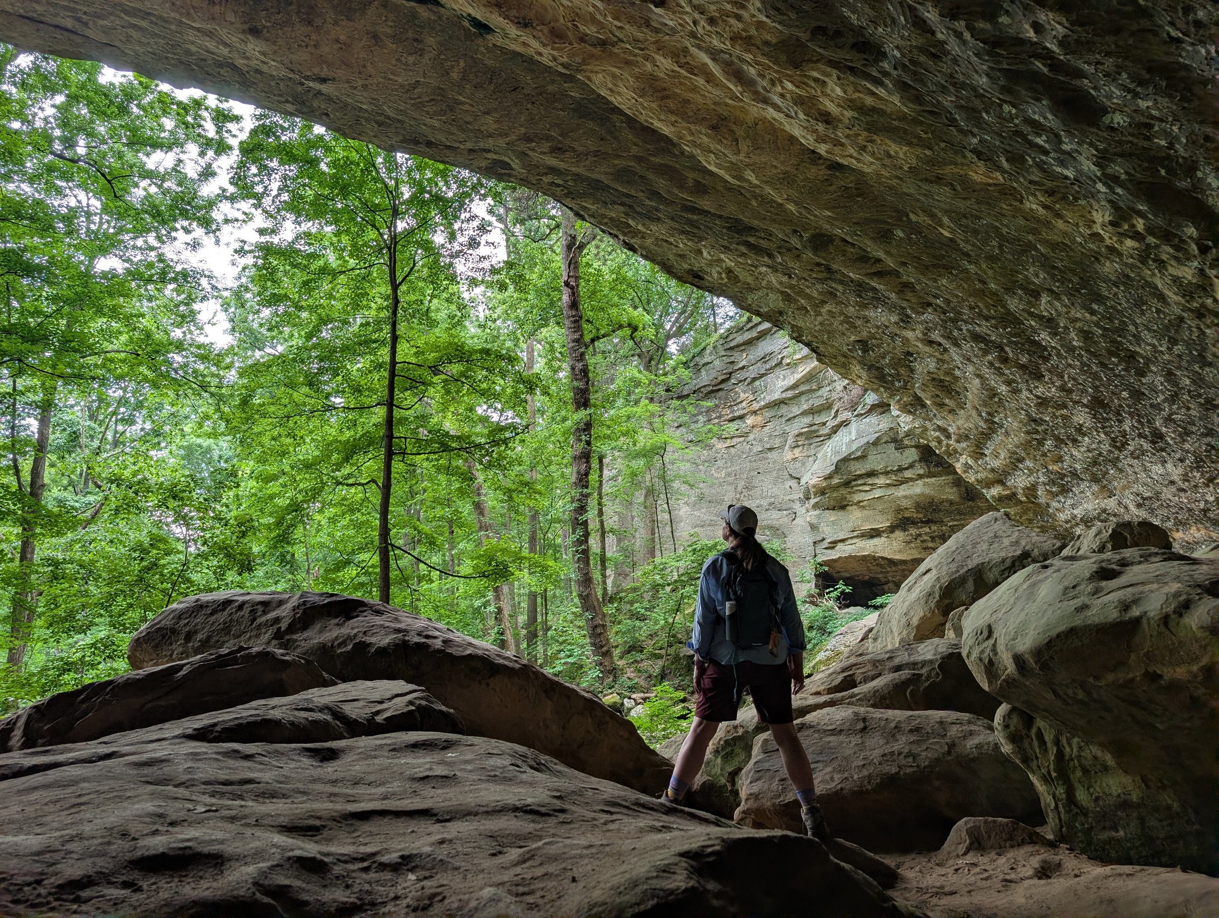 Shawnee National Forest, Makanda, IL>>>>>>>> Early November