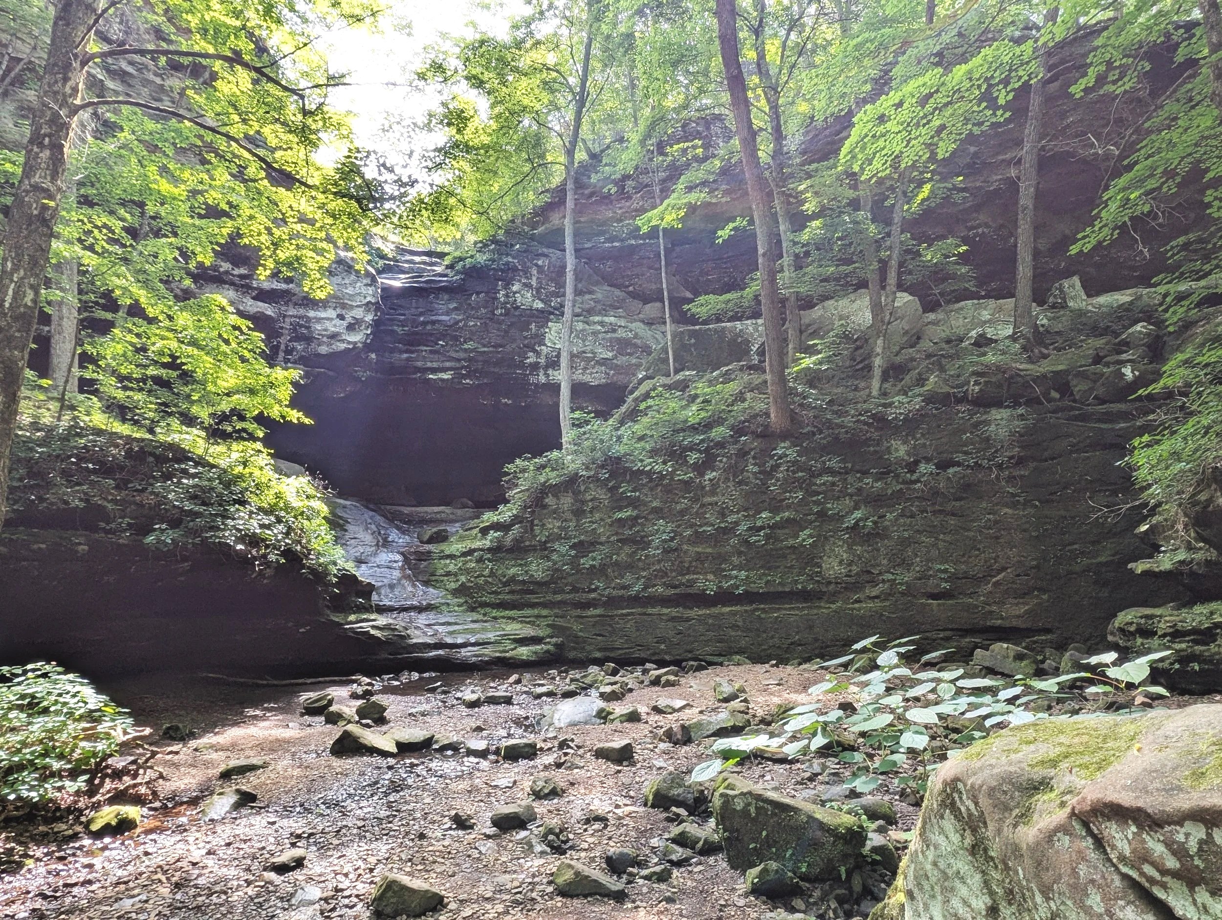 PXL_20260516_153917710.jpg