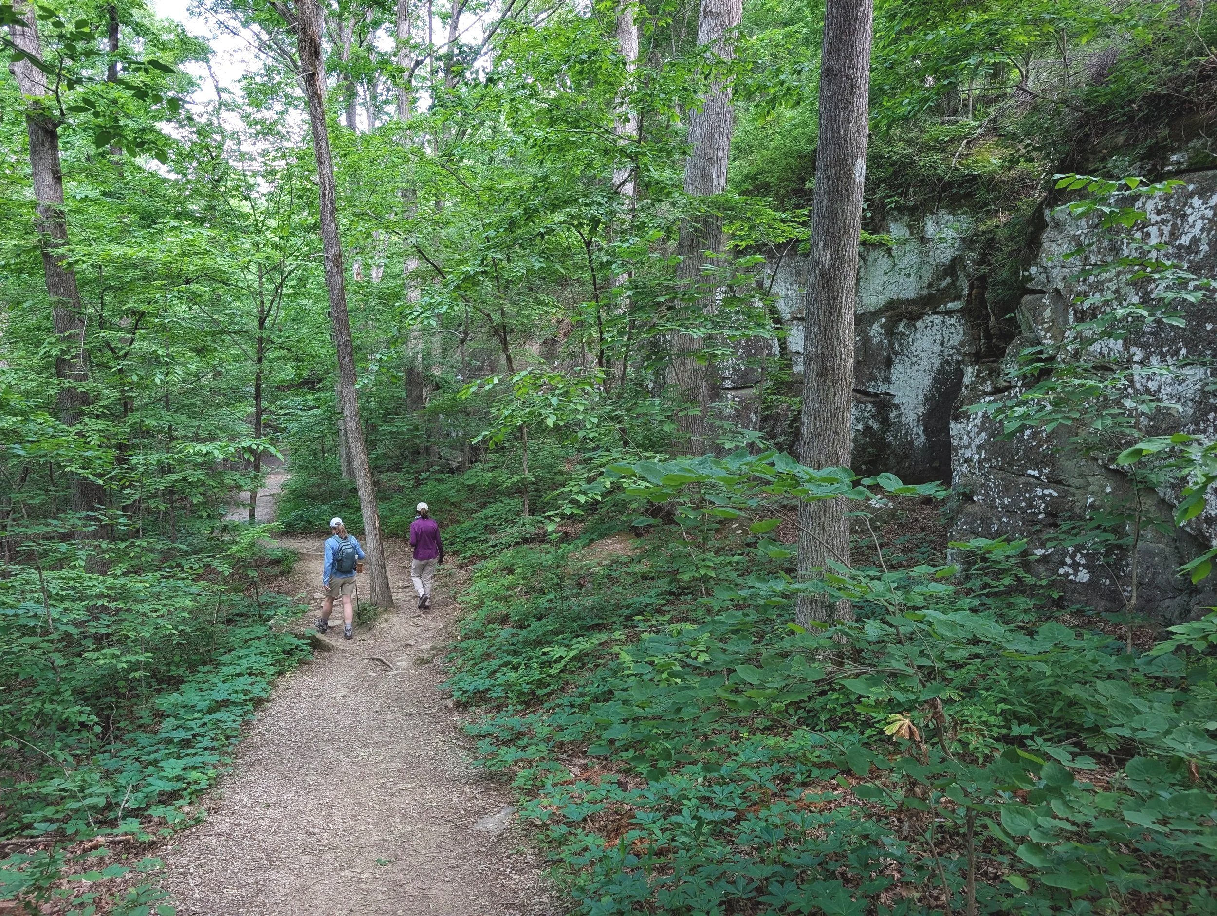 PXL_20260515_152538782.jpg