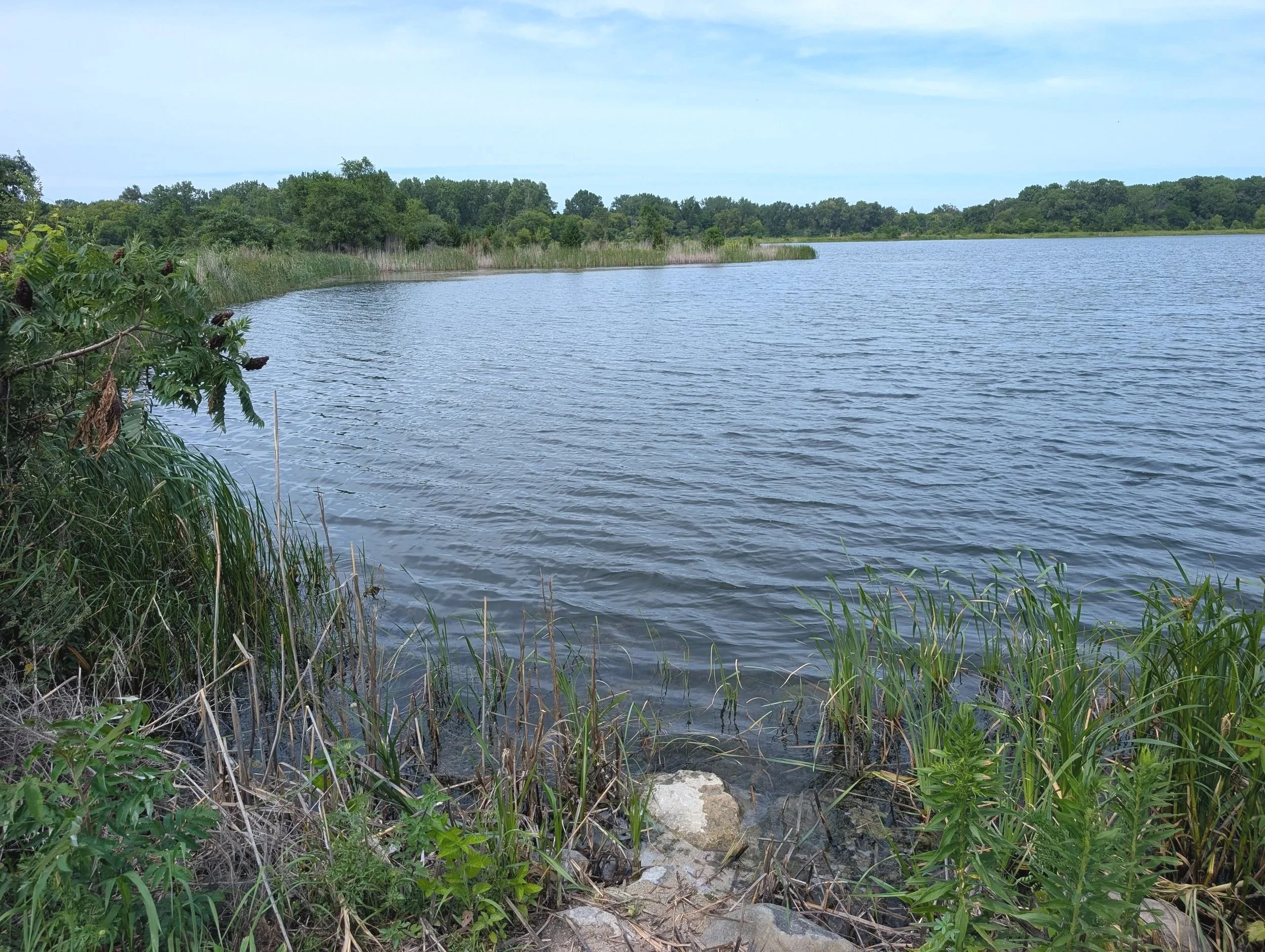 PXL_20260710_194326369.MP.jpg