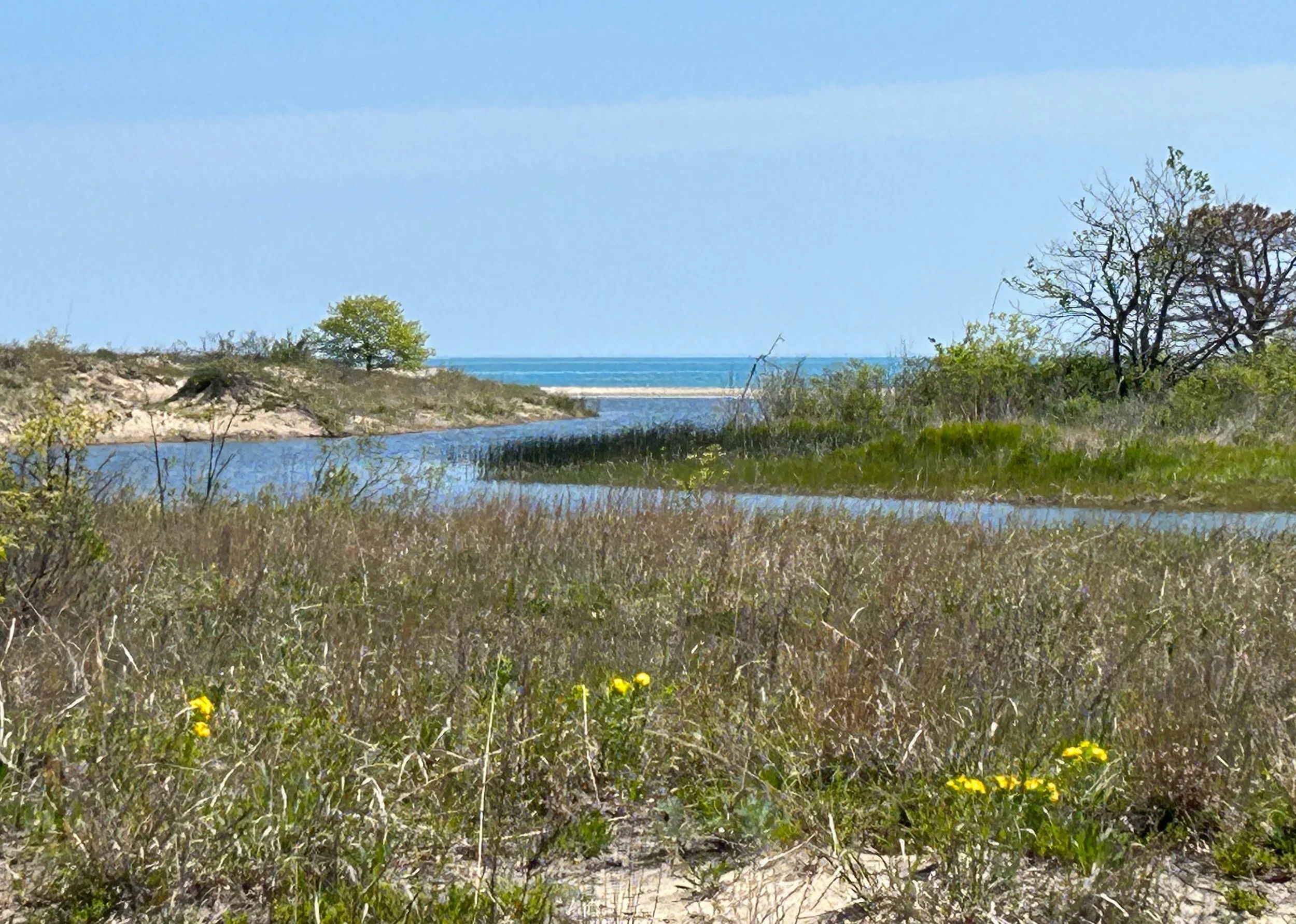 ILLINOIS BEACH STATE PARK, ZION, IL >>>>> MAY 26, 28, 30, 2026 