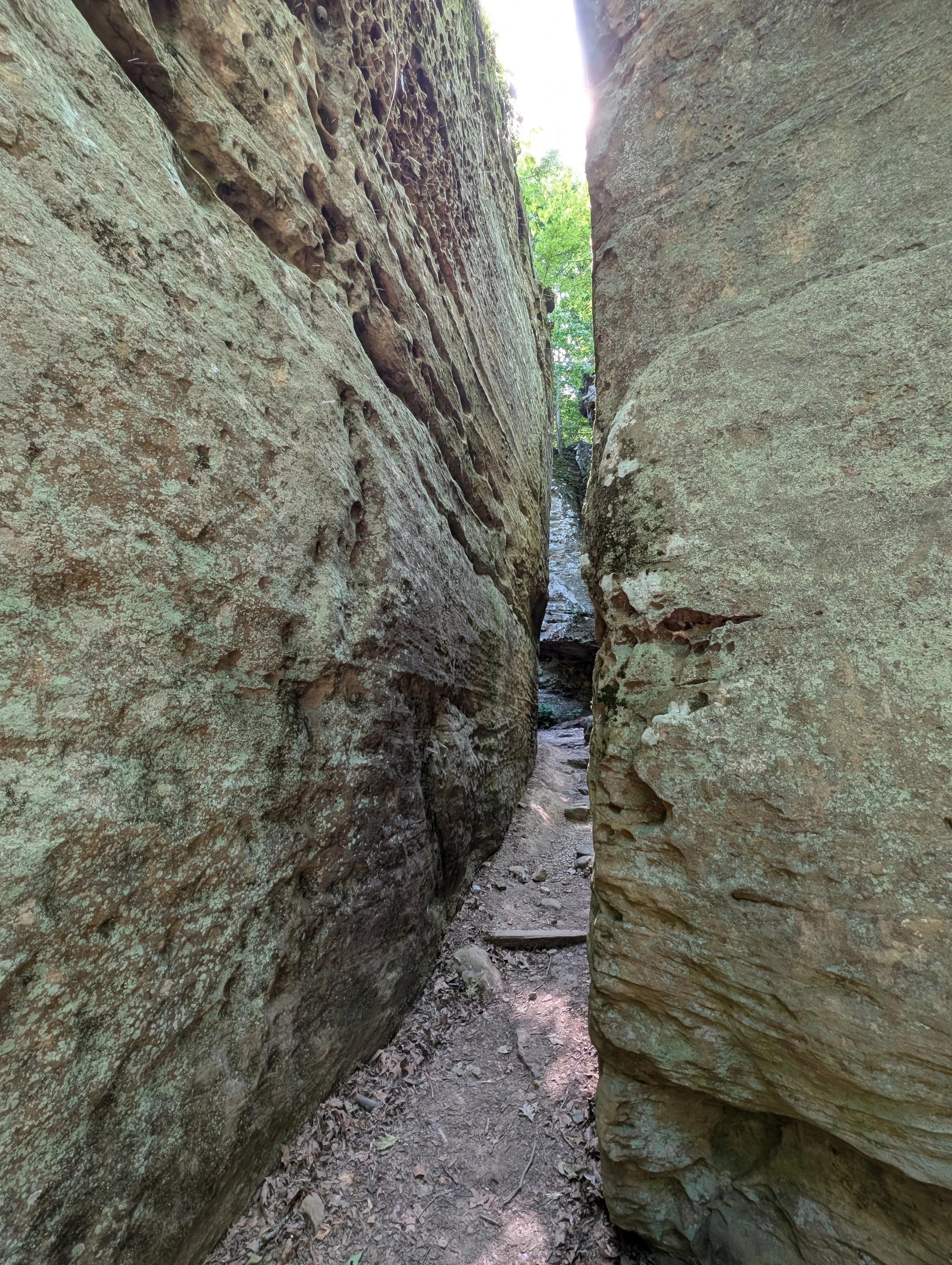 PXL_20260515_153920776.jpg