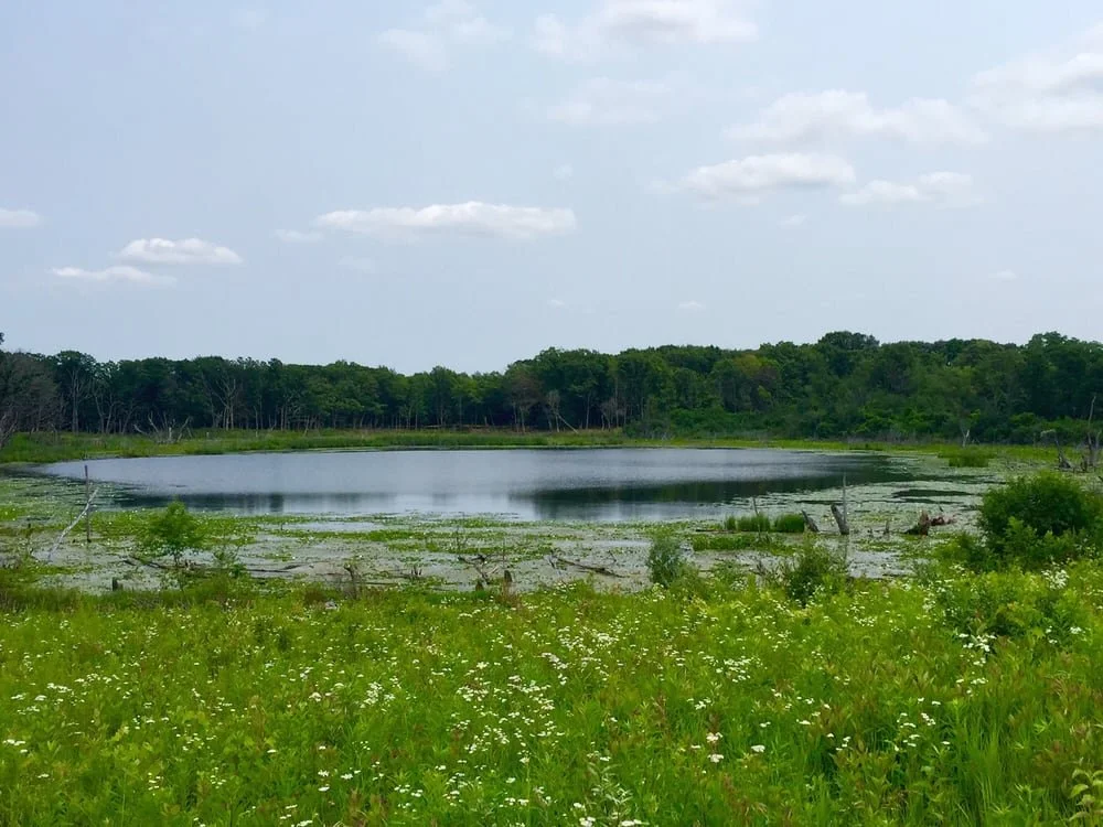 Lakewood Forest Preserve, Wauconda,  10am-noon, Sept. 8, 9, 10, 12