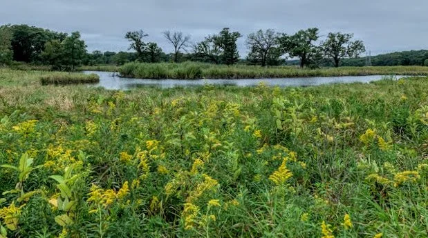 Silver Creek Conservation, Crystal Lake, IL.  Sept. 22 &amp; 24, 10am - noon