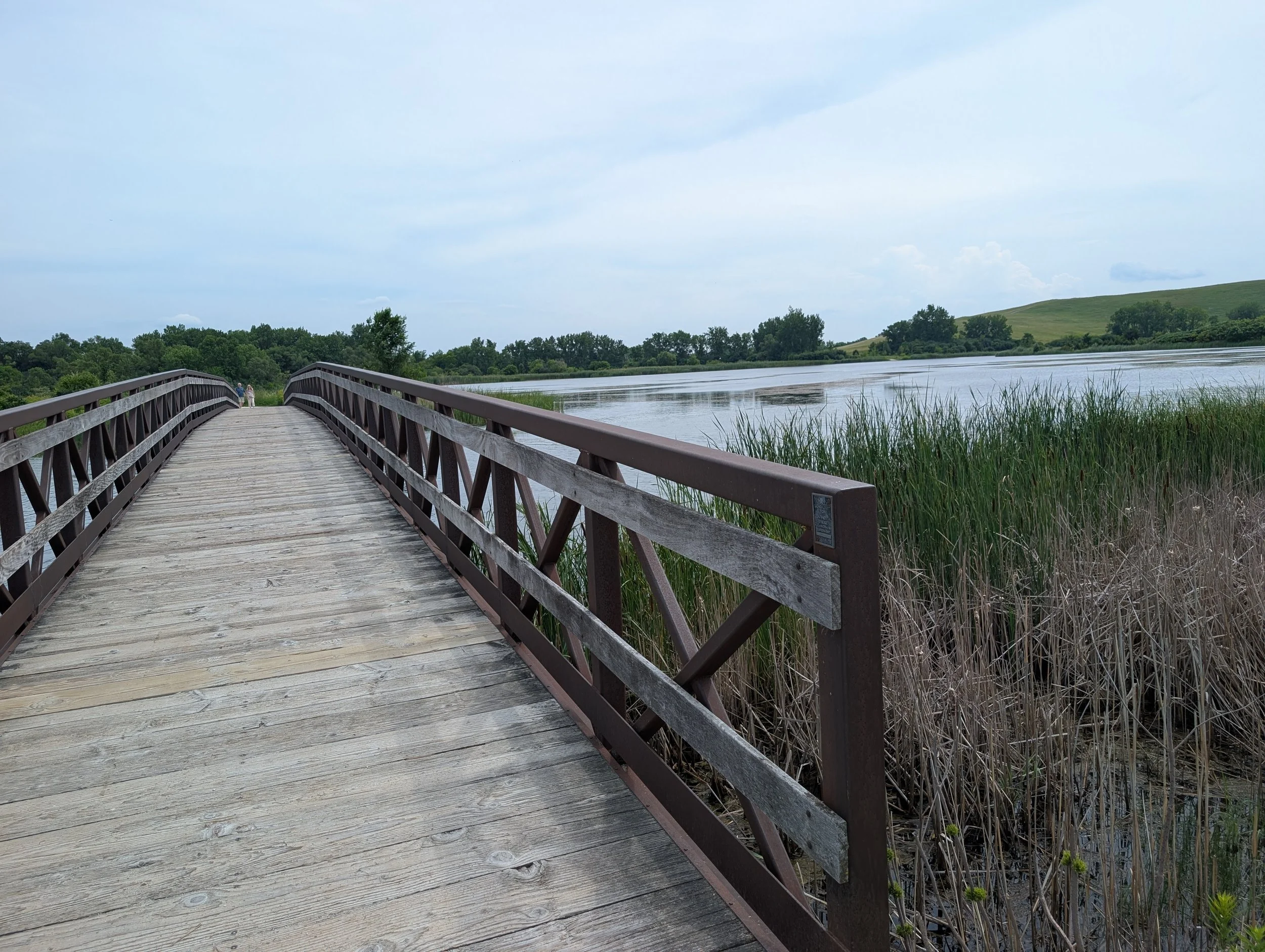 Mallard Lake, Hanover Park, IL, >>>> Sept. 15 &amp; 17, 10am - noon