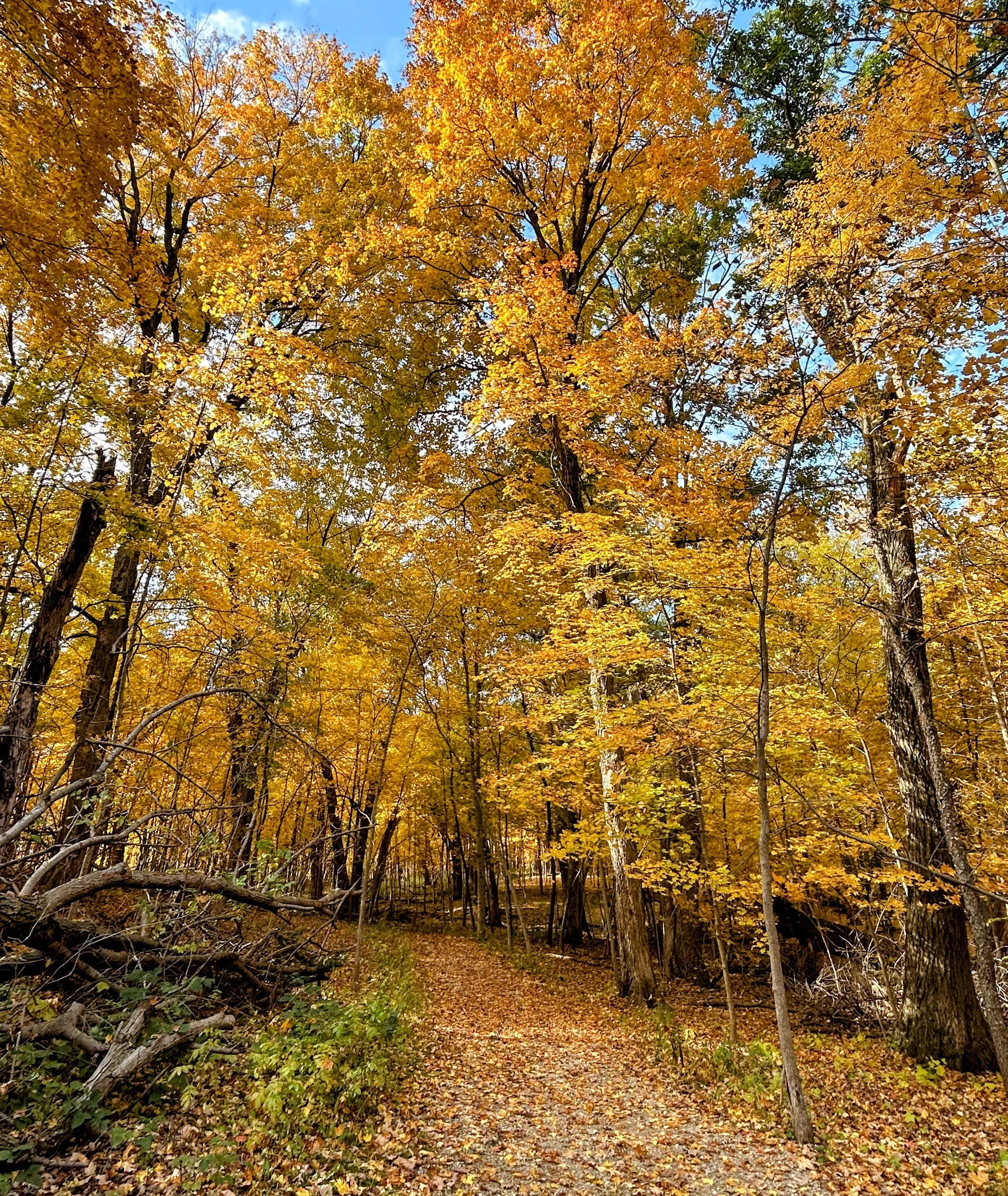 Coral Woods, Marengo, IL >>>>>>>> Oct. 20, 22, 24, 2026. 10am-noon