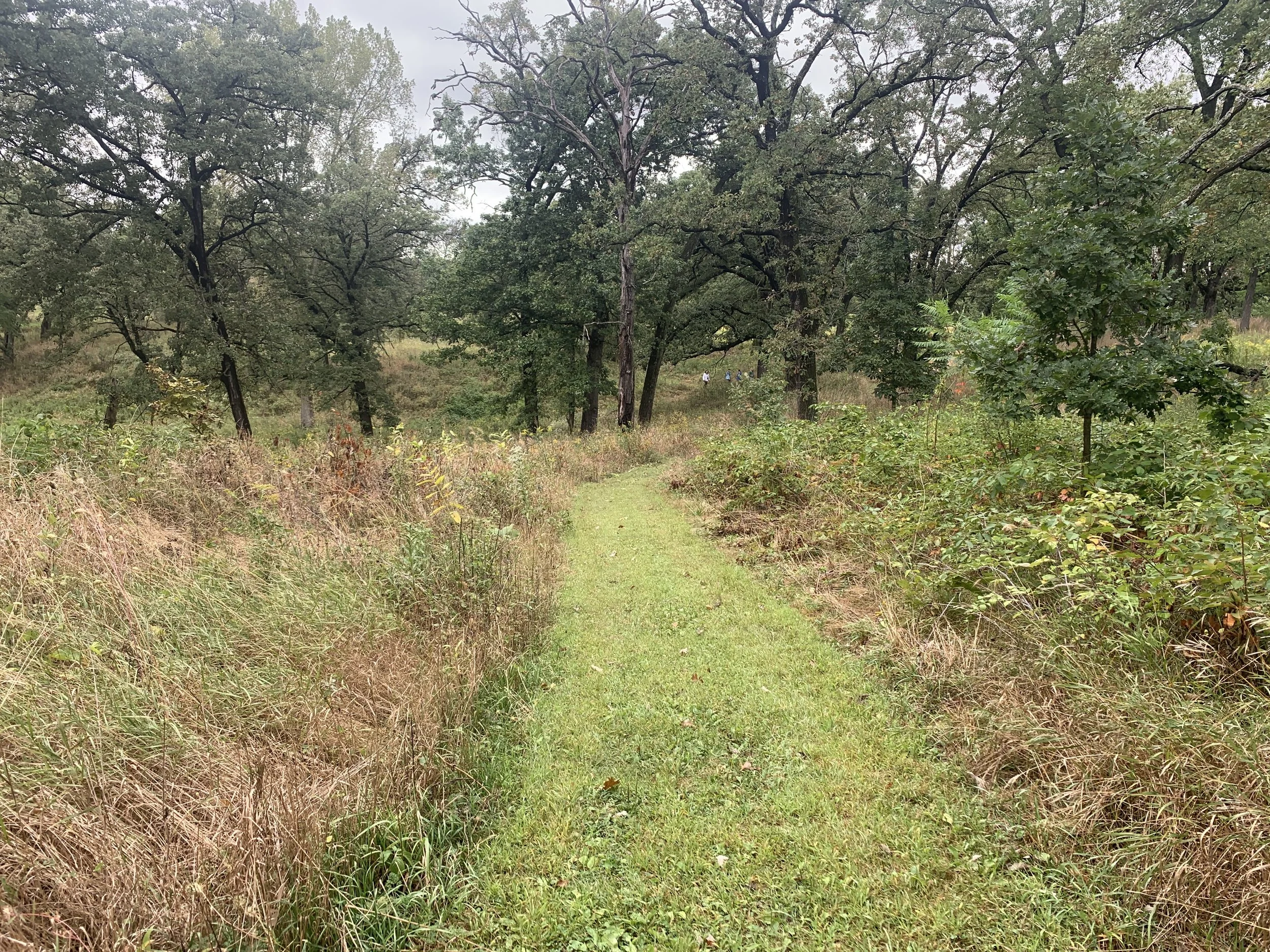 Silver creek.jpg