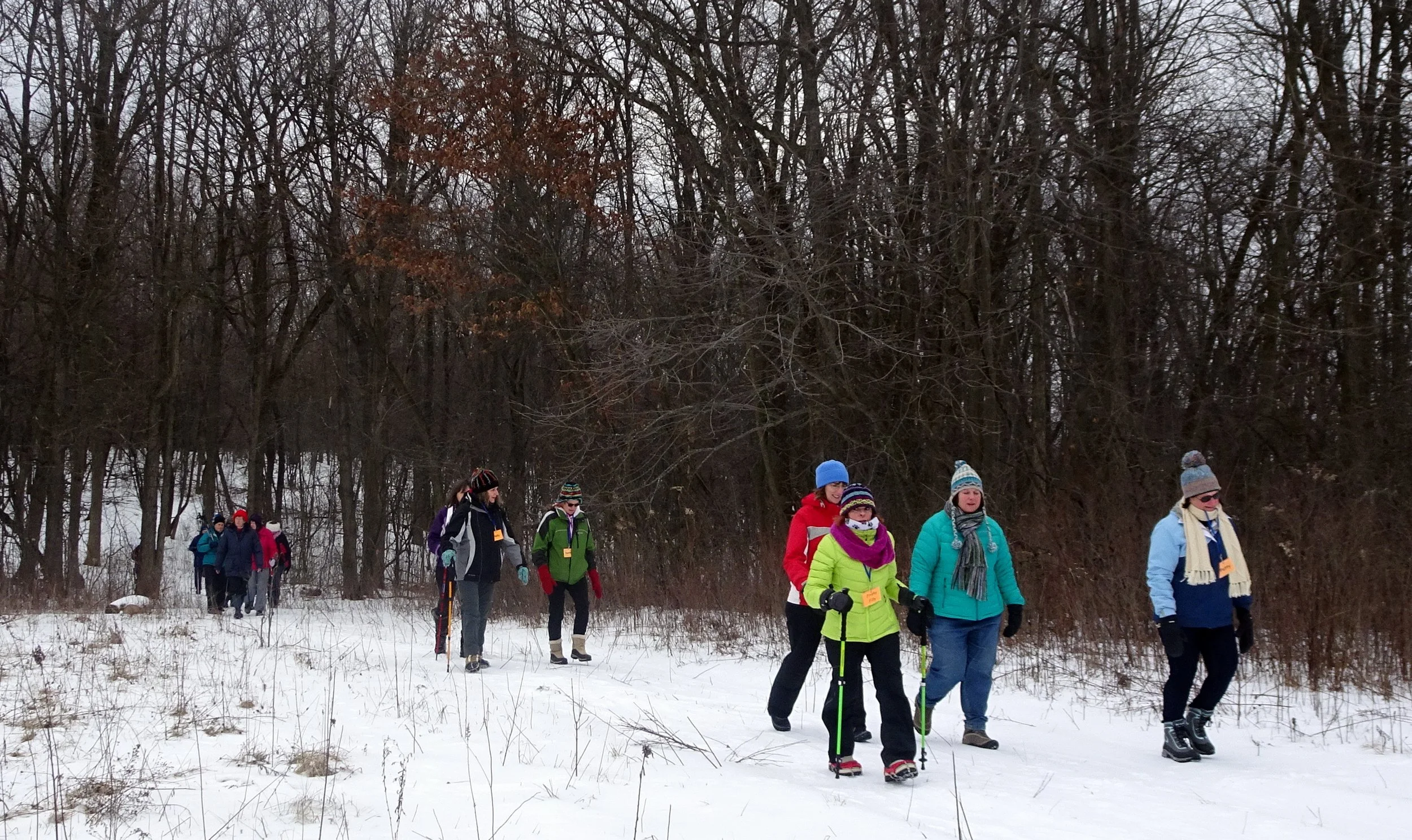 Group of people walking in snow-covered woods during winter, some with hiking poles, wearing colorful jackets, hats, and gloves.