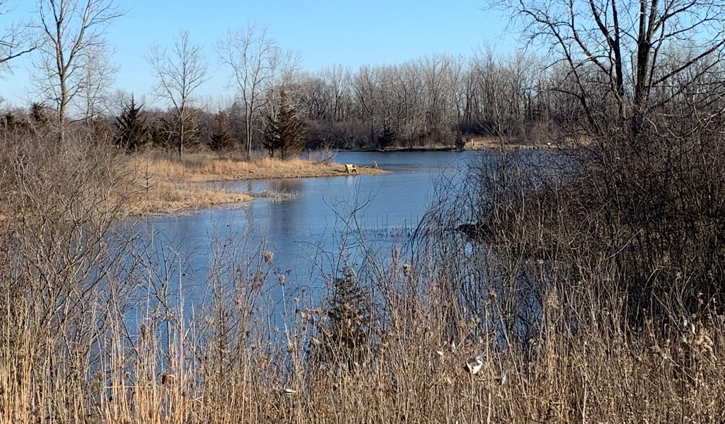 A river flowing through a natural landscape with leafless trees and dry grasses along the banks, under a clear blue sky.