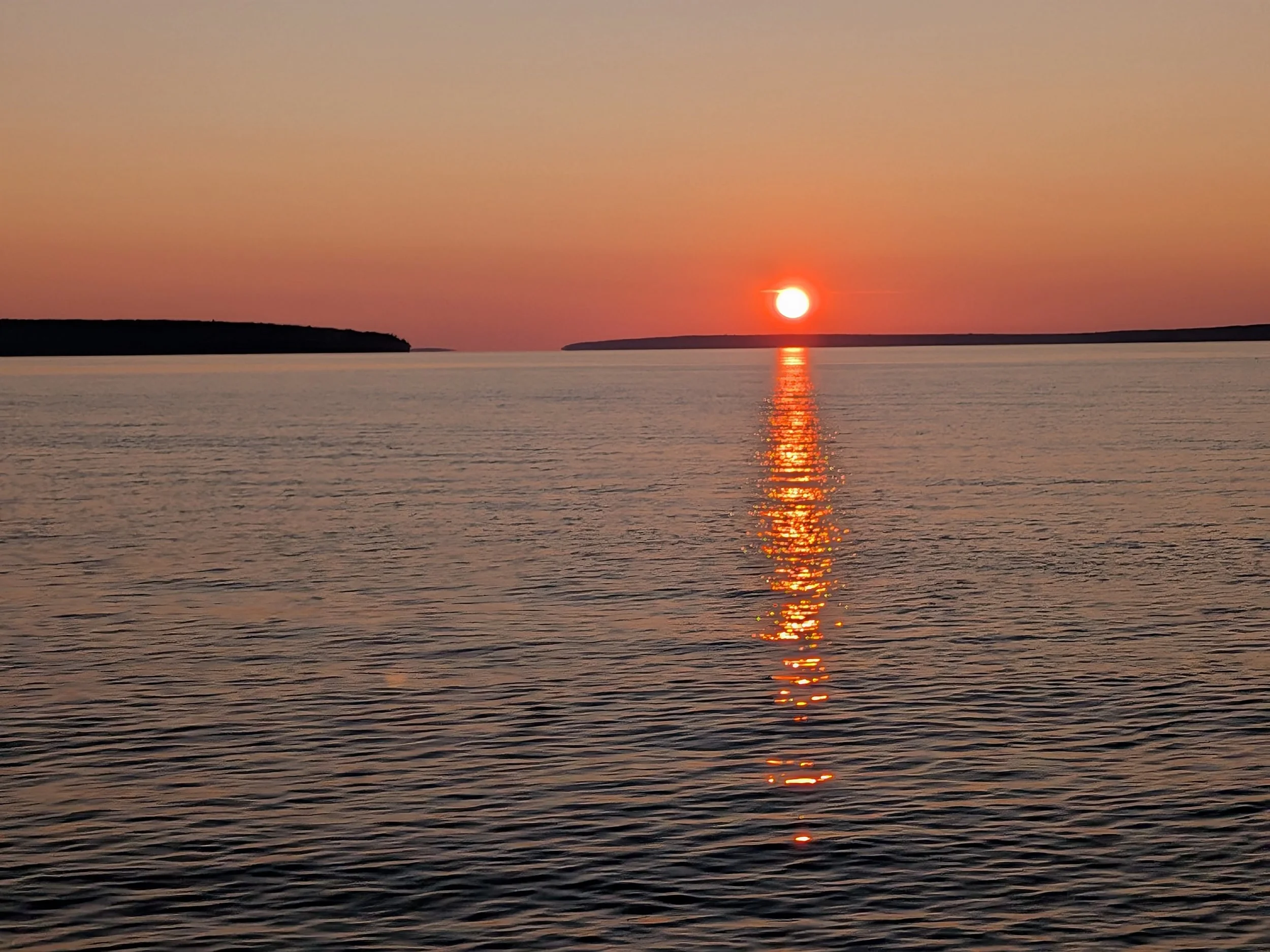 PXL_20260814_110829561.MP (1).jpg