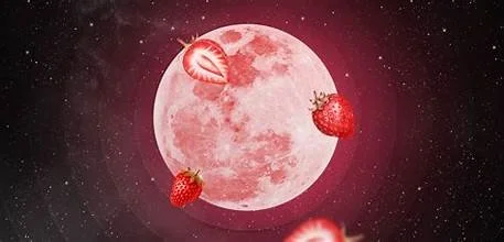 Citizen’s Park-Cuba Marsh-Howl at the Strawberry Moon-Free Hike >>>>>>>> June 29, 2026