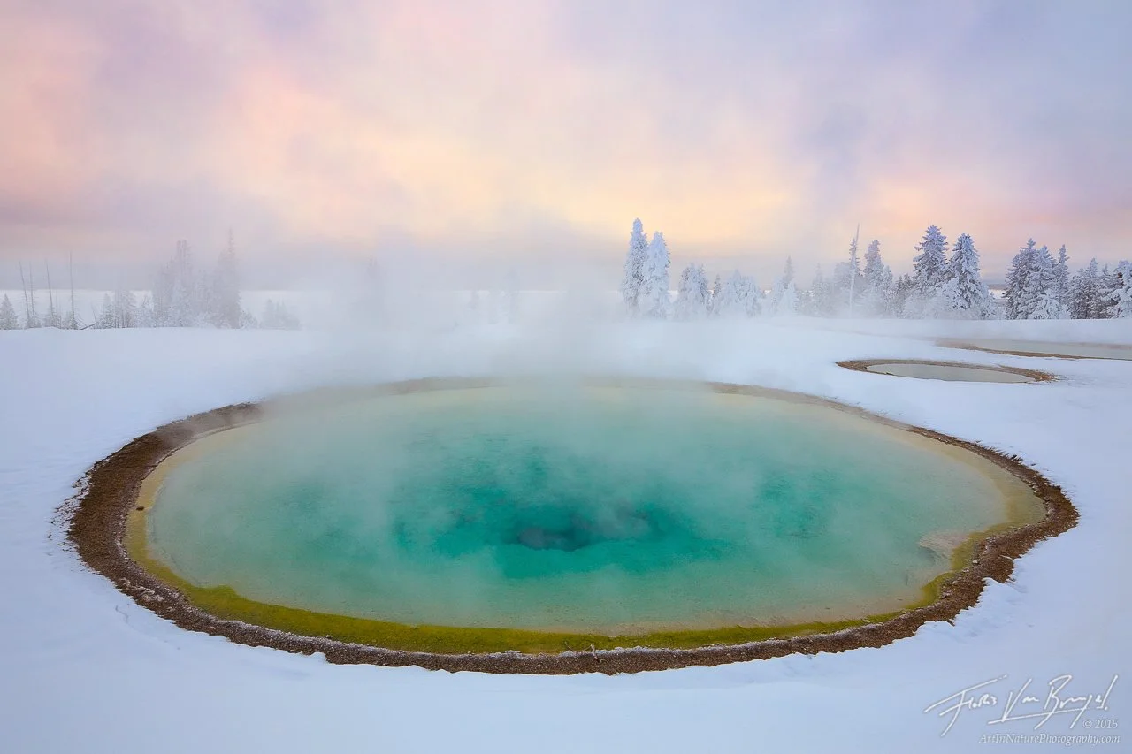 yellowstone winter-hotsprings-yellowstone-20101218_0016.jpg