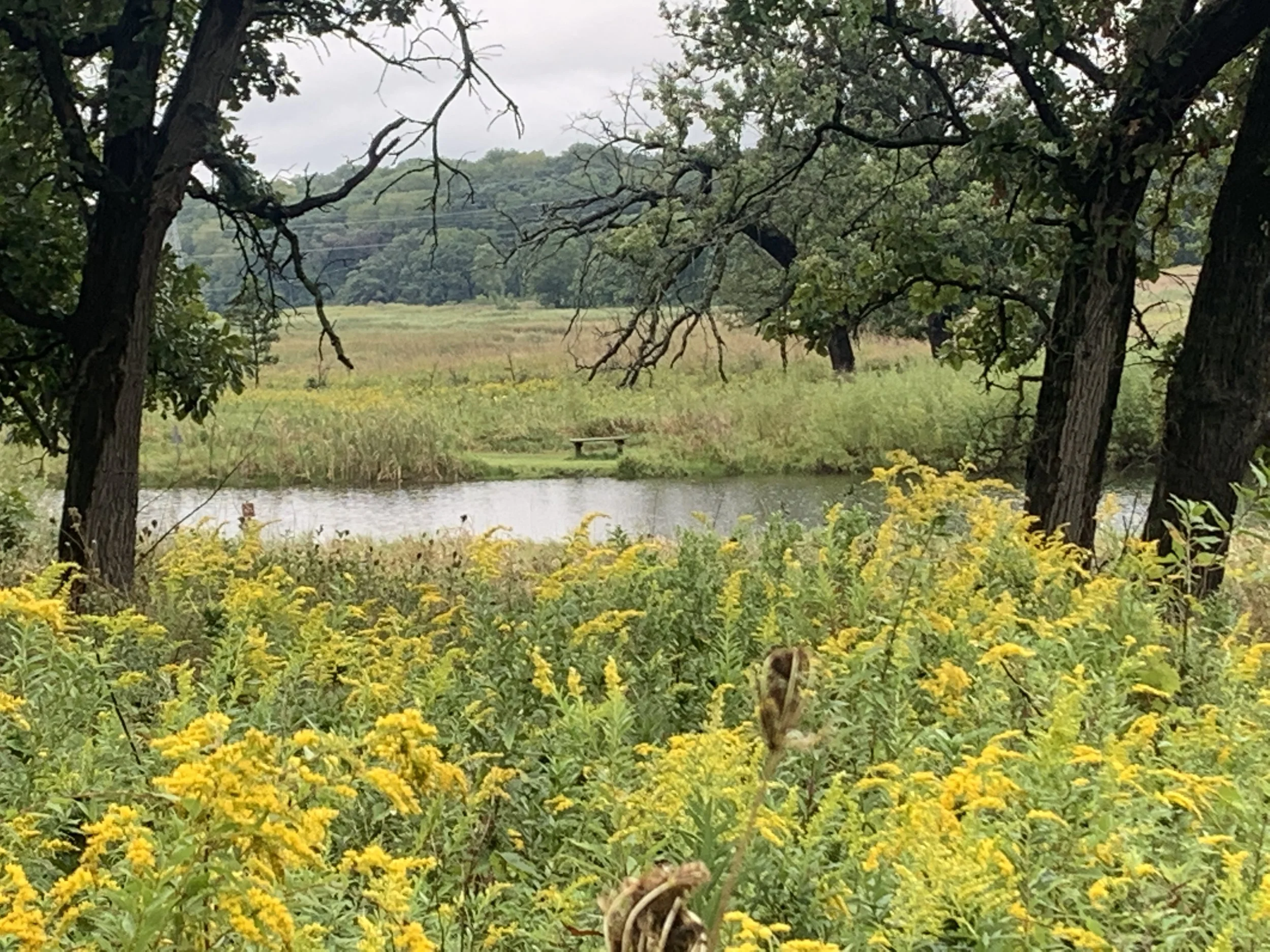 silver creek 2.jpg