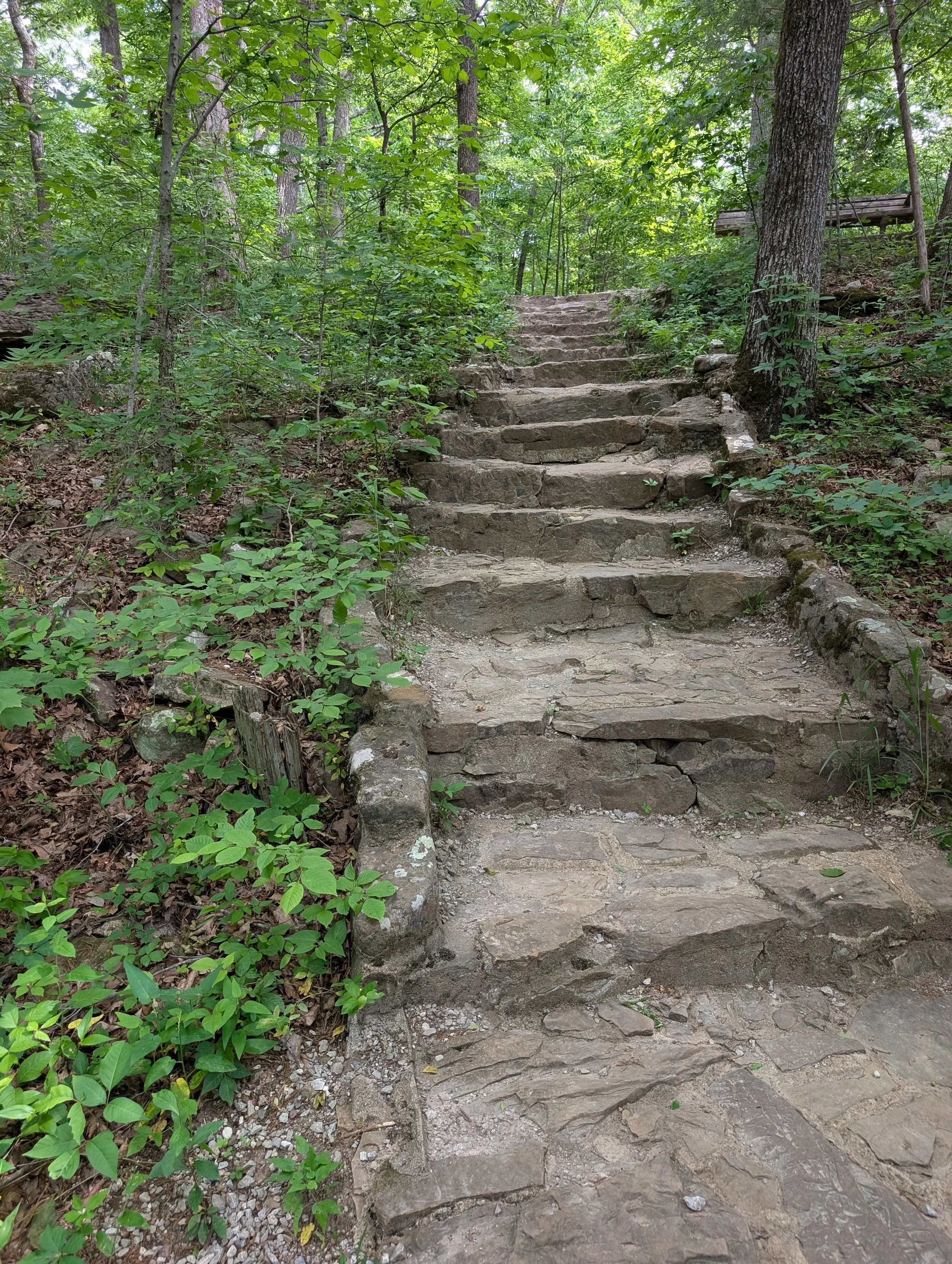 PXL_20260515_151821177.jpg
