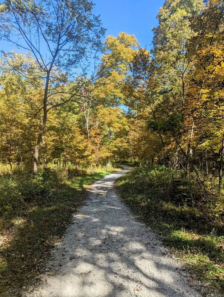 Deer Grove, Palatine, IL. Oct. 6-8, >>>> 10am - noon