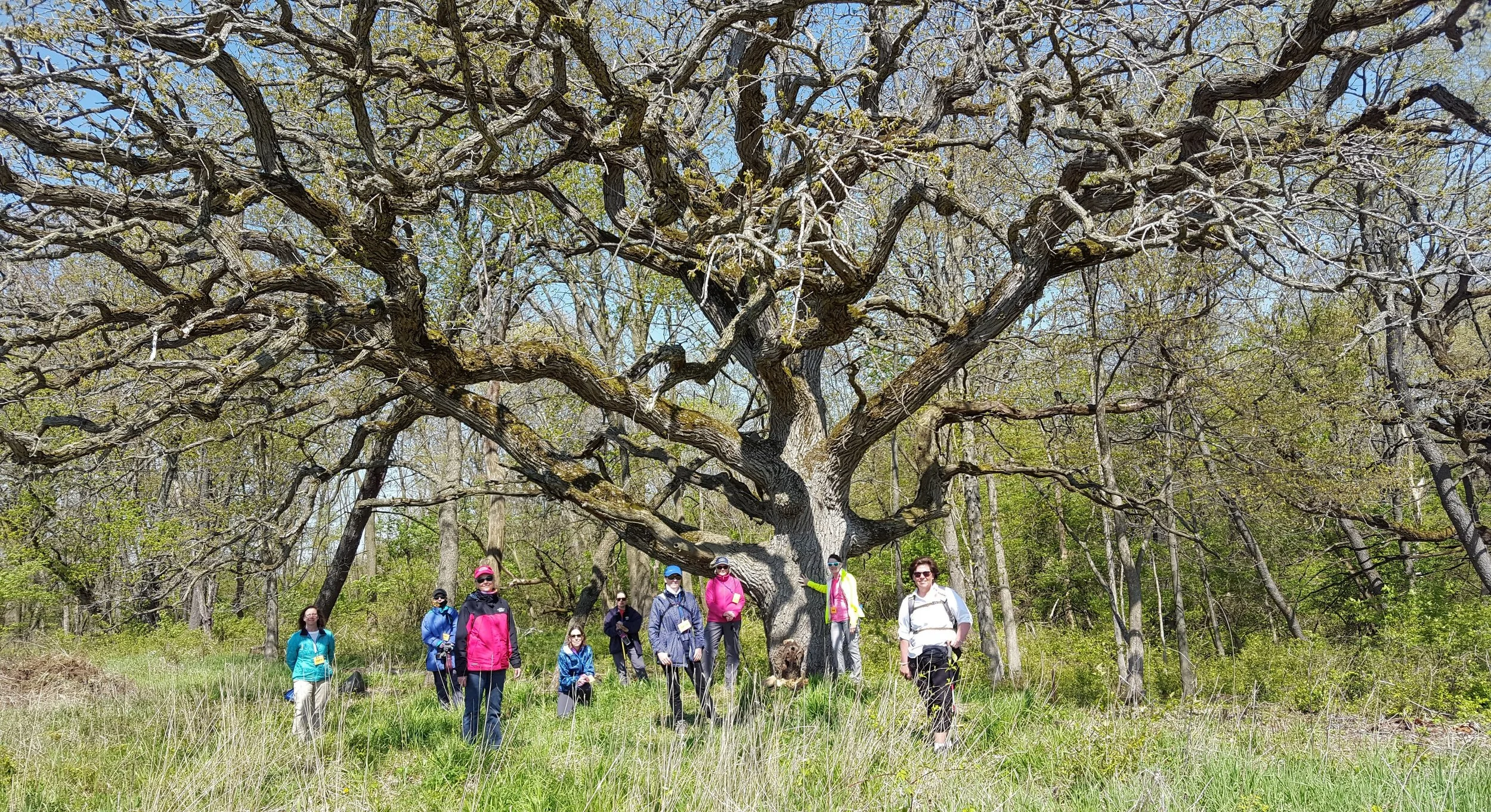 Dixie Wednesday 2.jpg