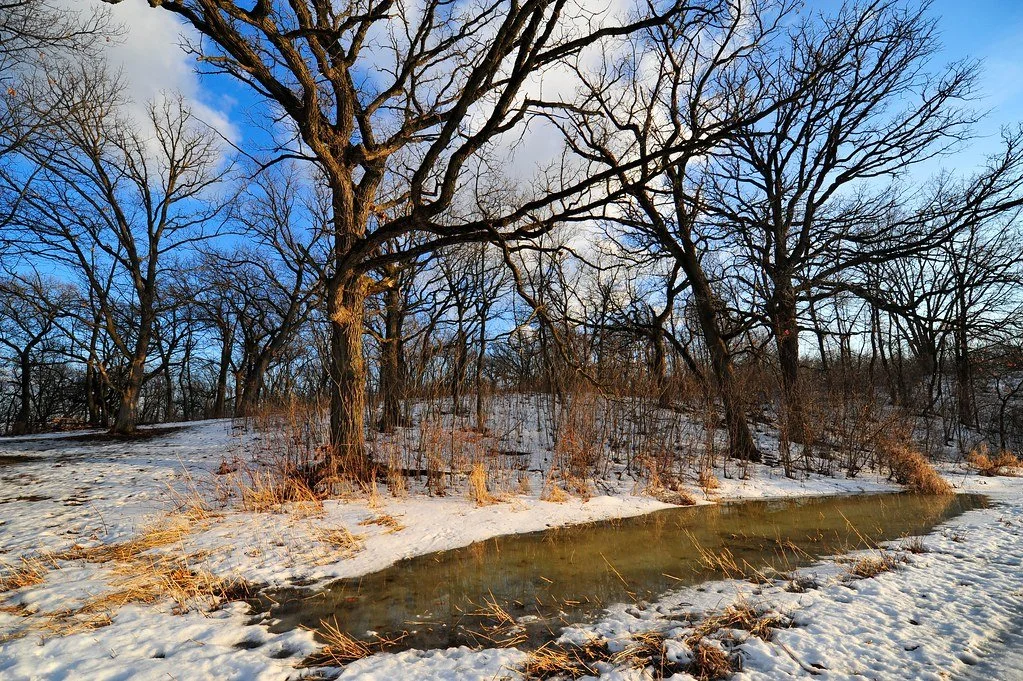Snow-covered landscape with leafless trees and a small, partially frozen creek under a blue sky with some clouds.