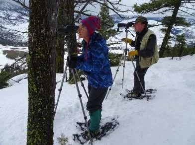 yellowstone scopes.jpg