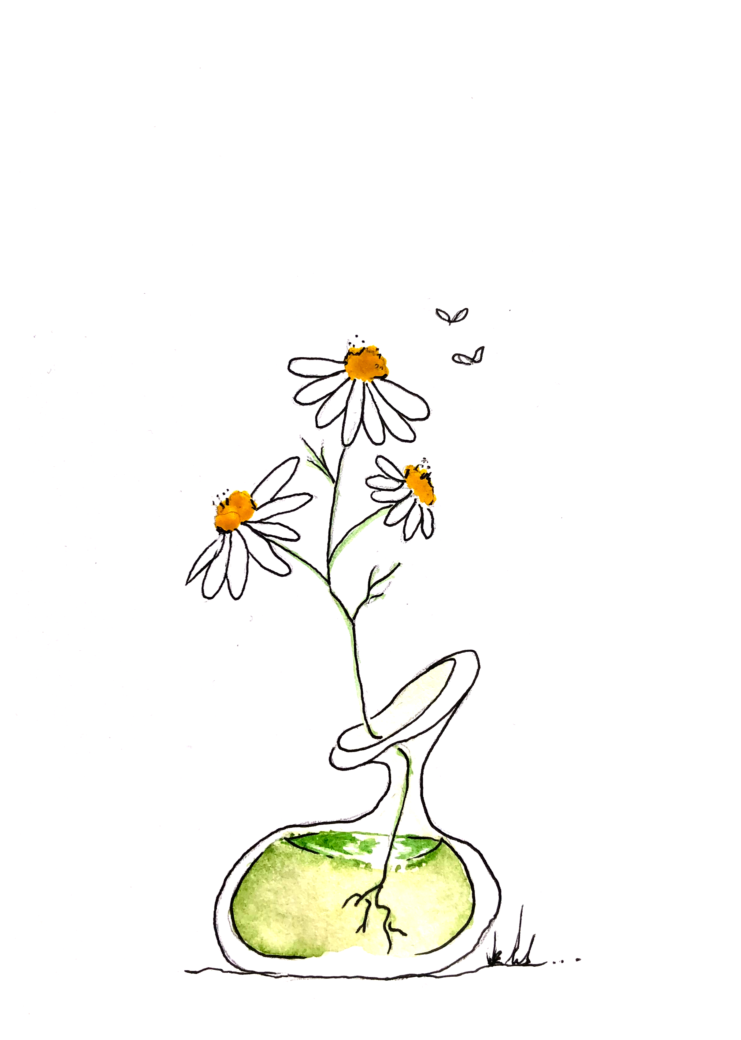 WHY ENVIRONMENT MATTERS?