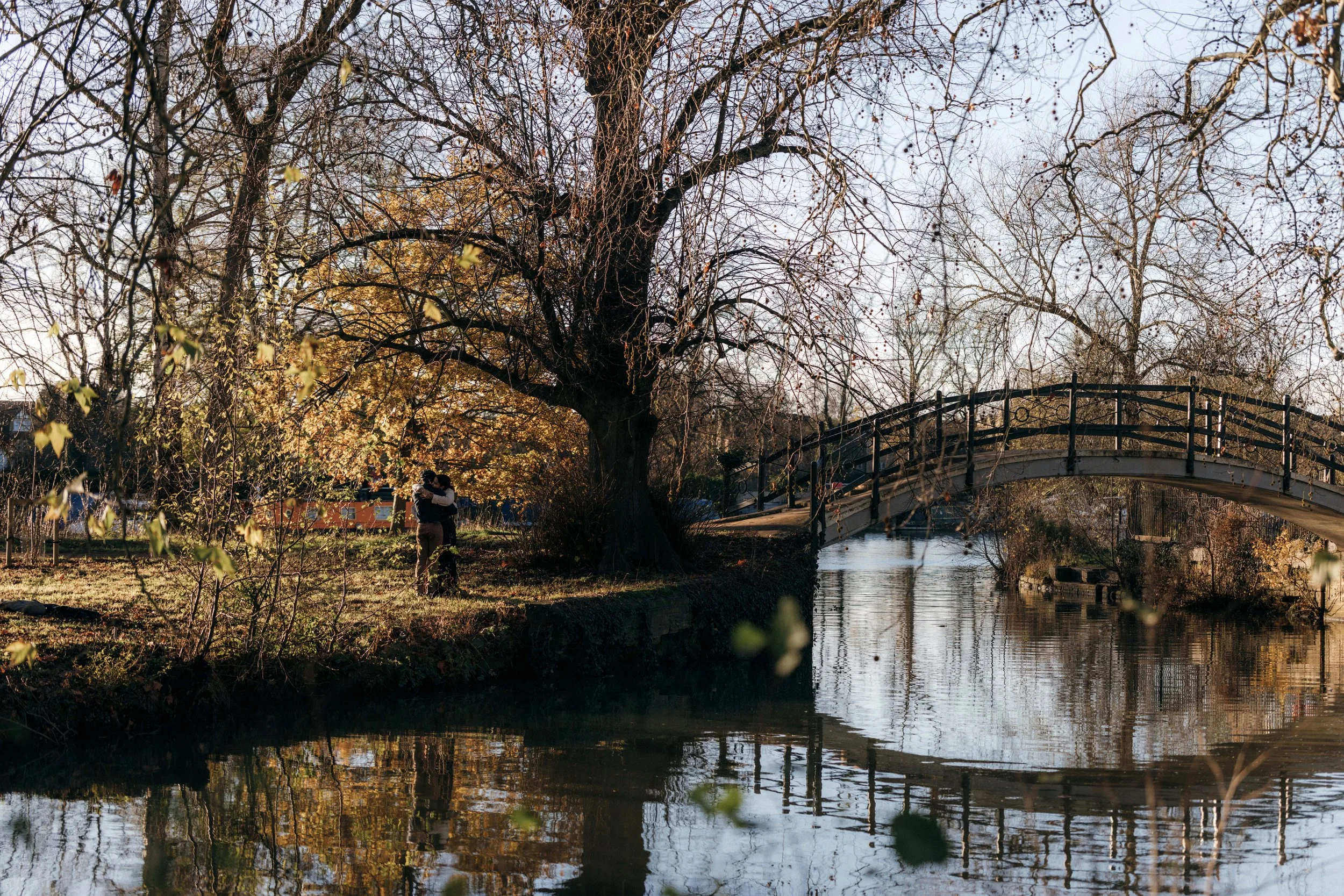 A couple hugging under a large tree near a small bridge over a canal in a park during autumn.